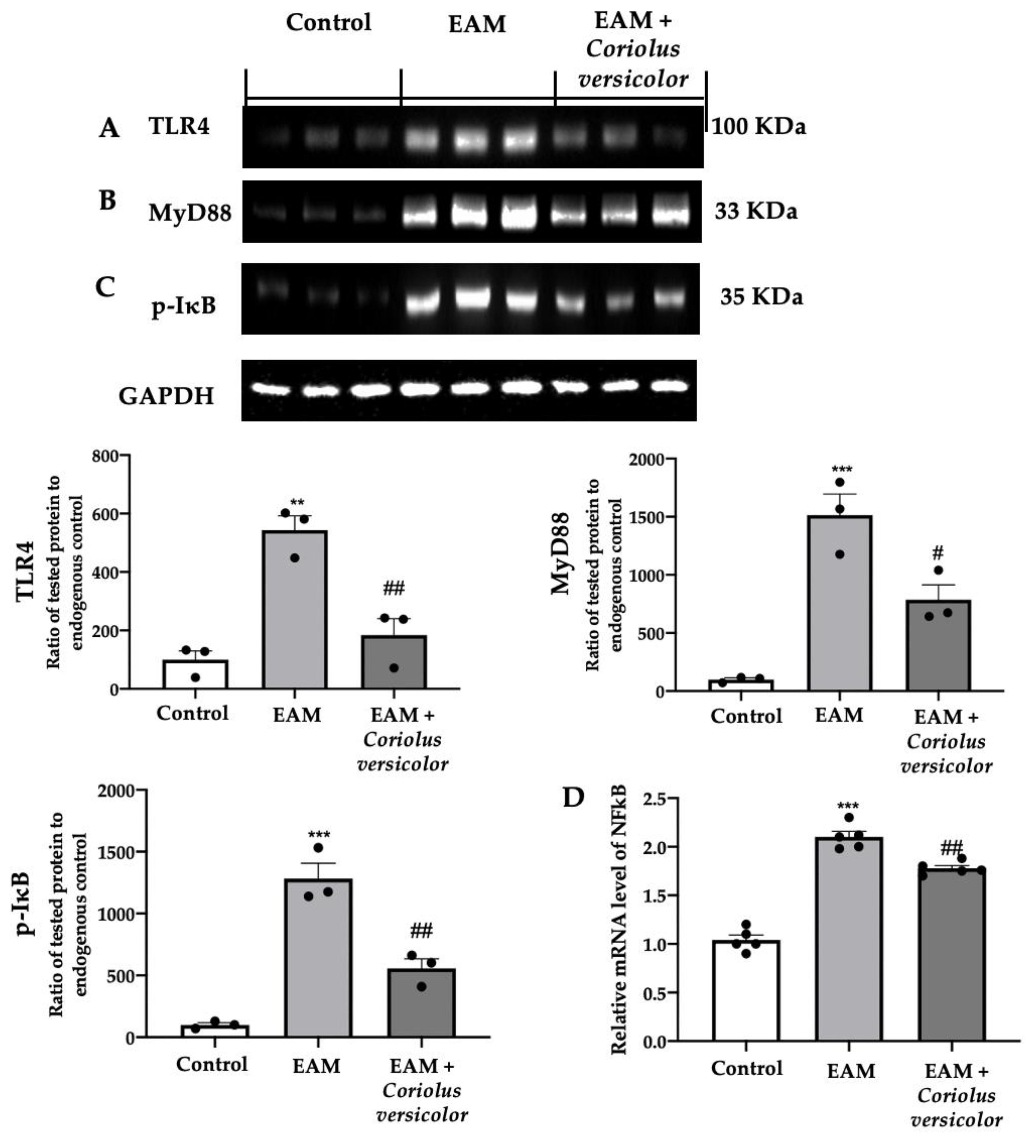Antioxidants 12 01507 g001