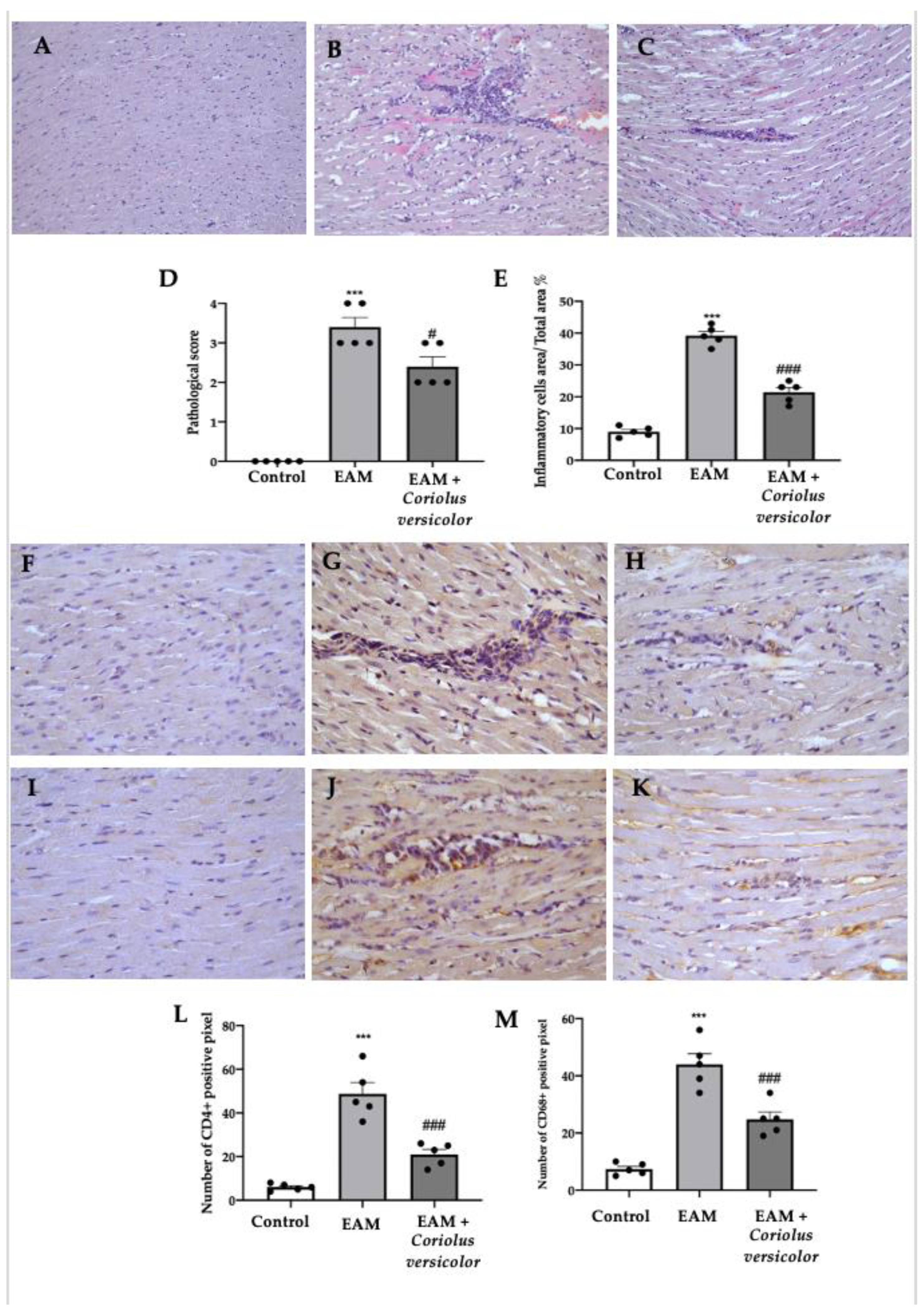 Antioxidants 12 01507 g002