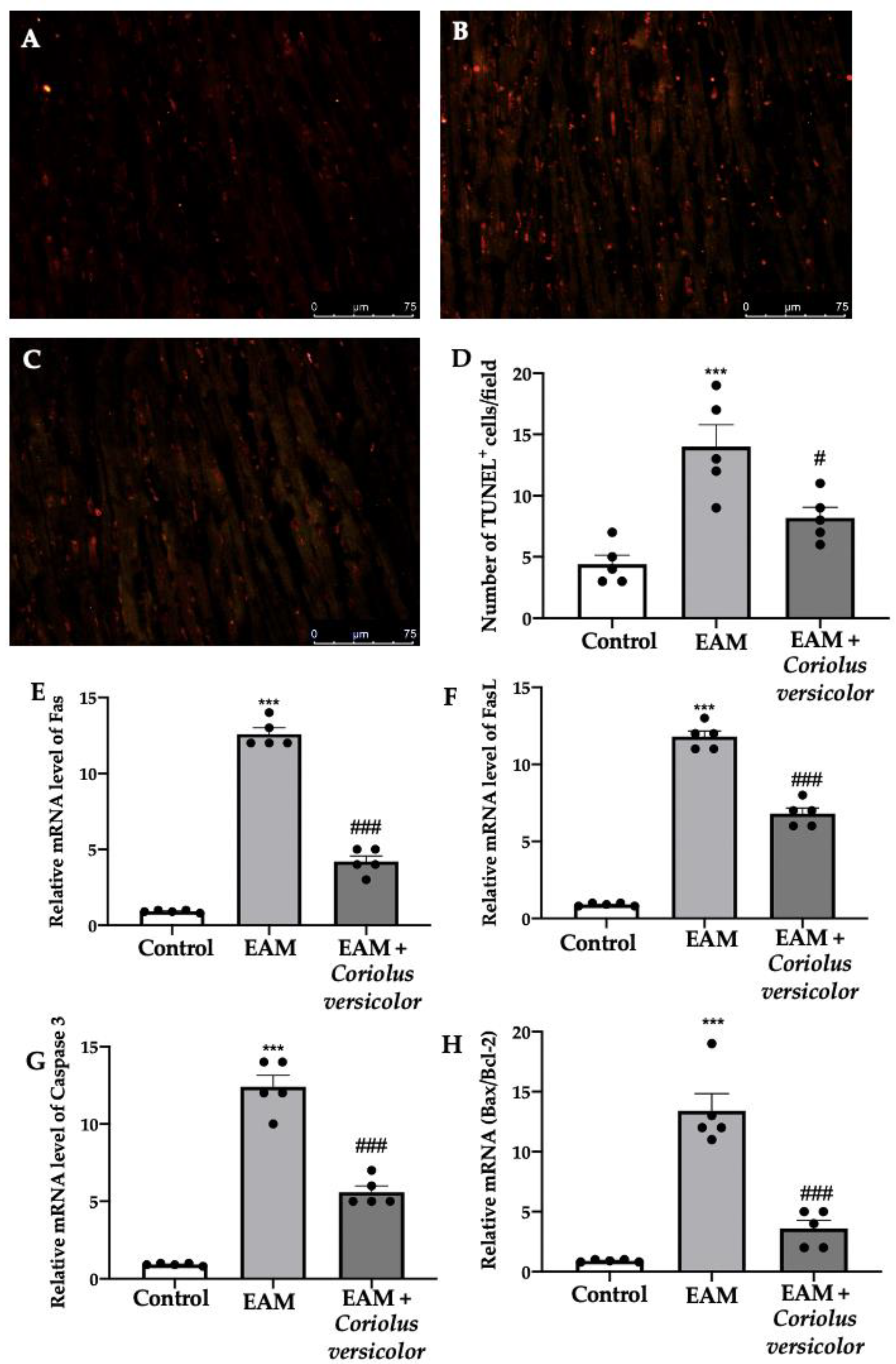 Antioxidants 12 01507 g004