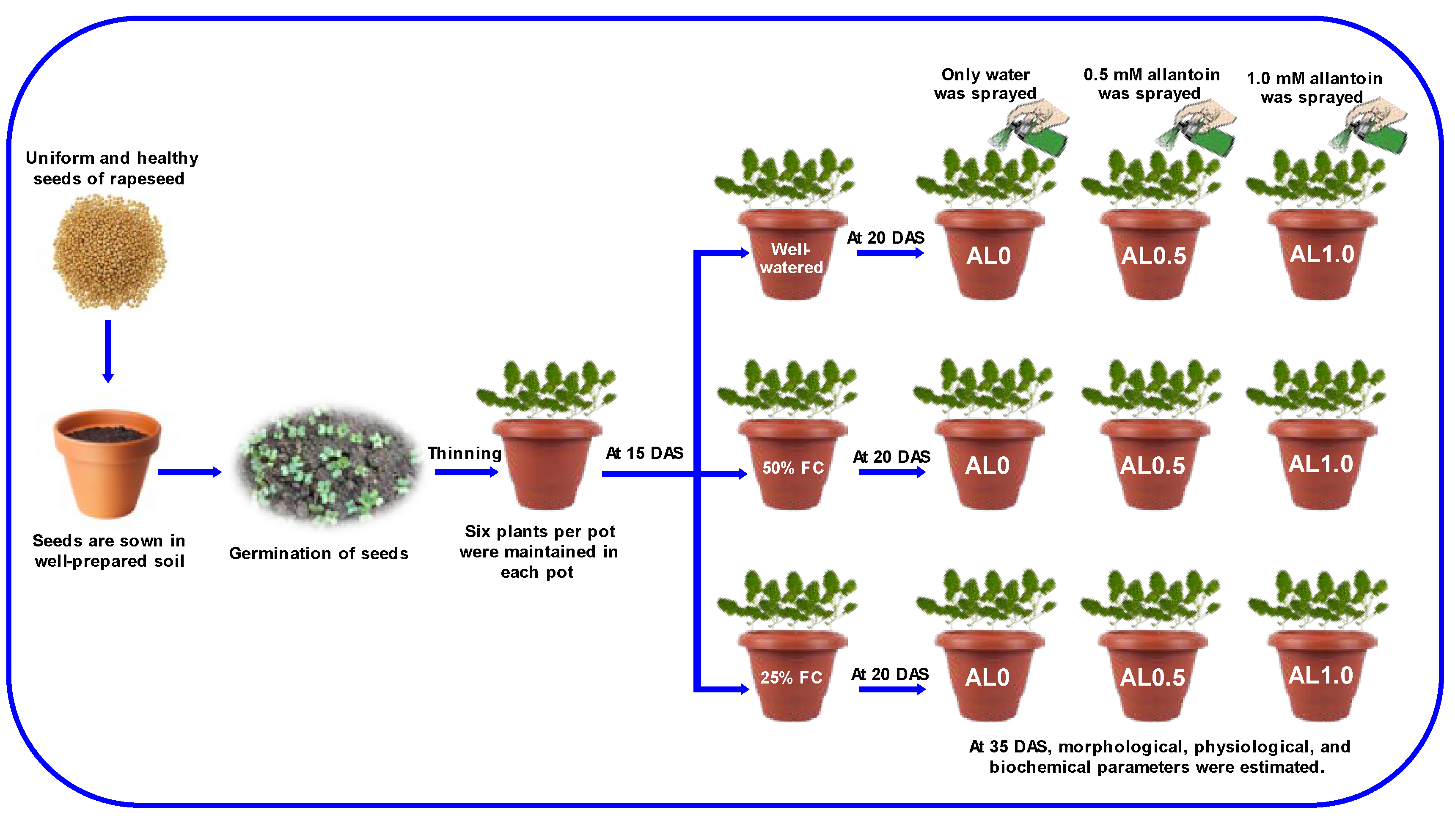 Antioxidants 12 01508 g001
