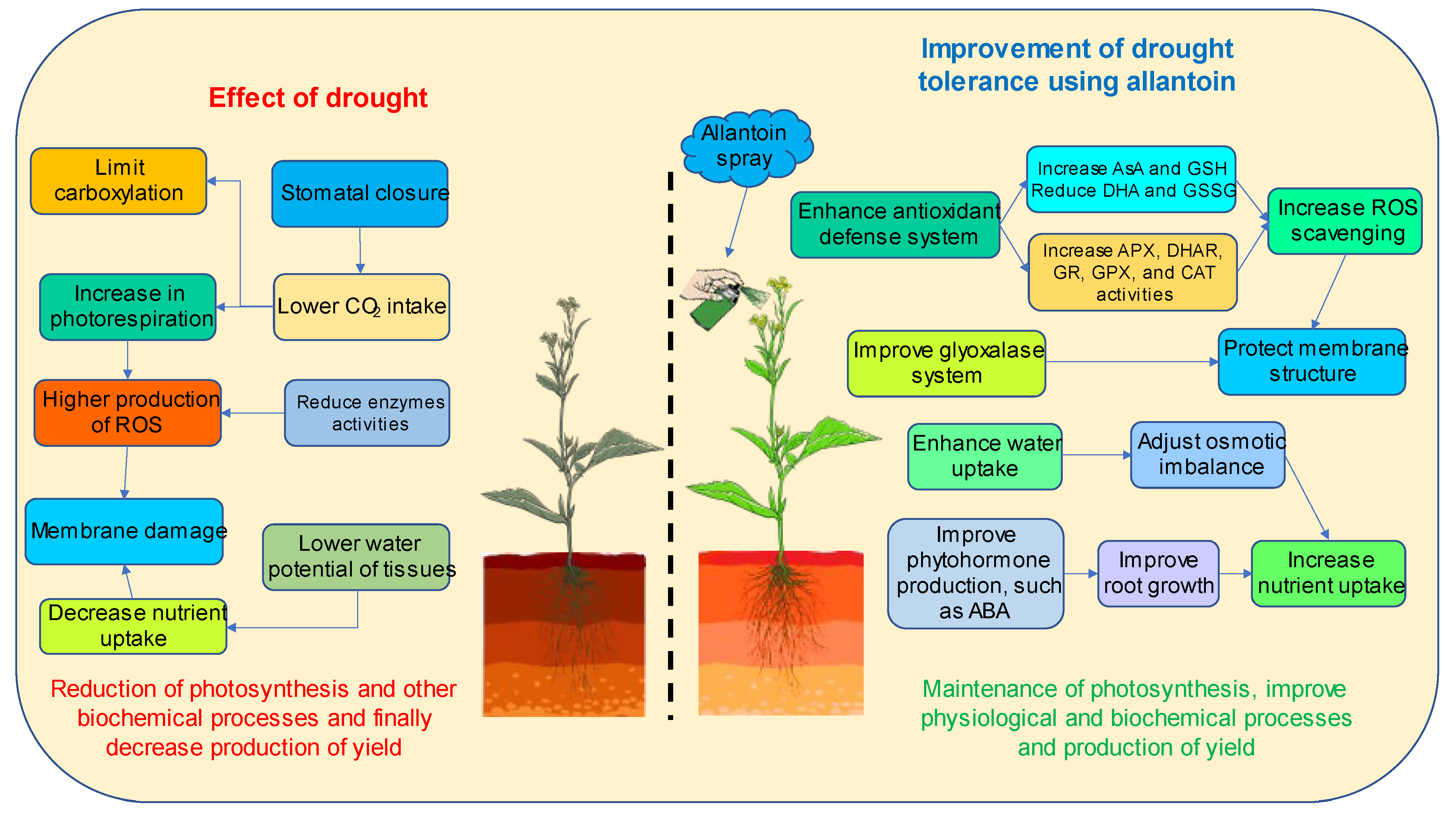 Antioxidants 12 01508 g010