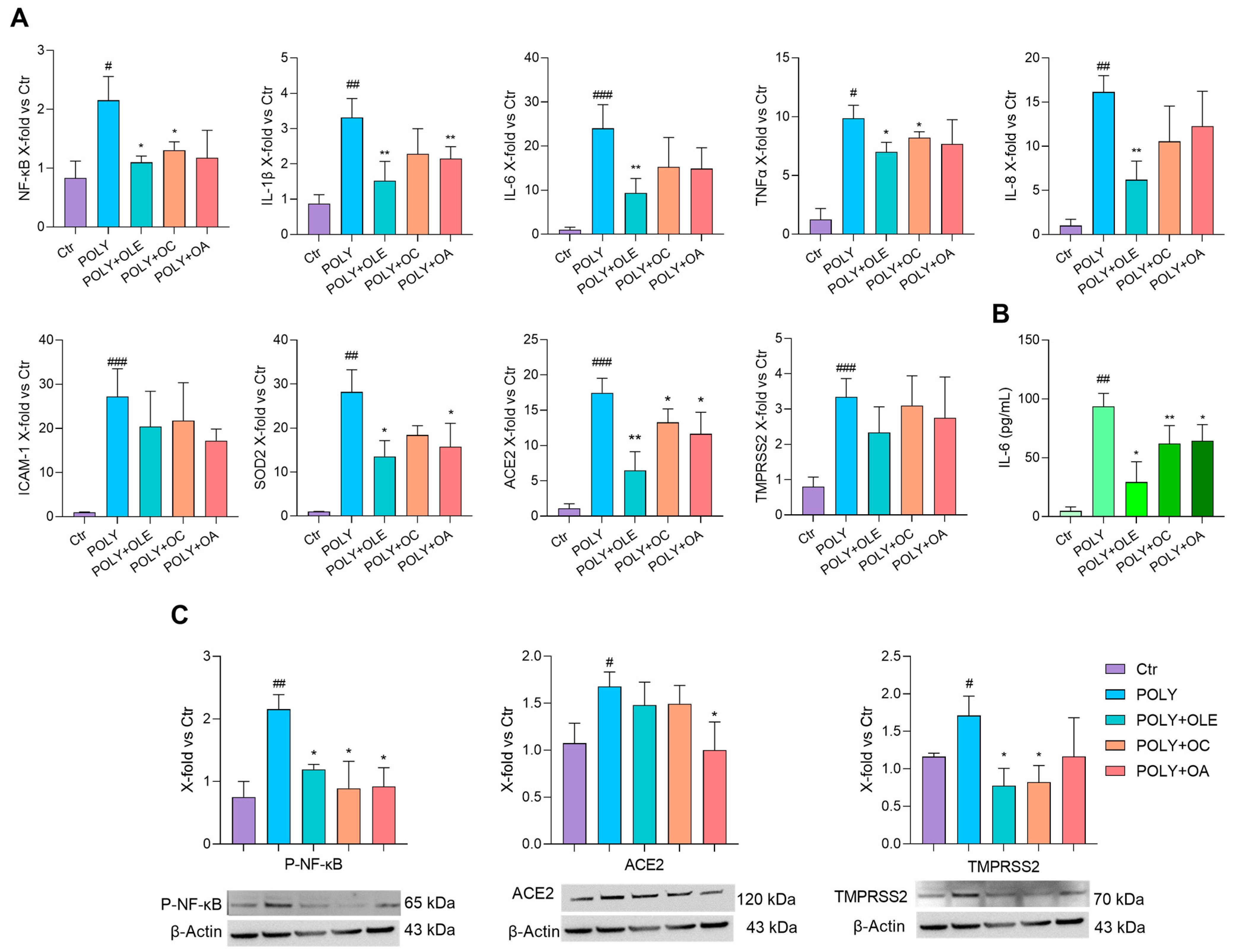 Antioxidants 12 01509 g006 Antioxidants 12 01509 g006