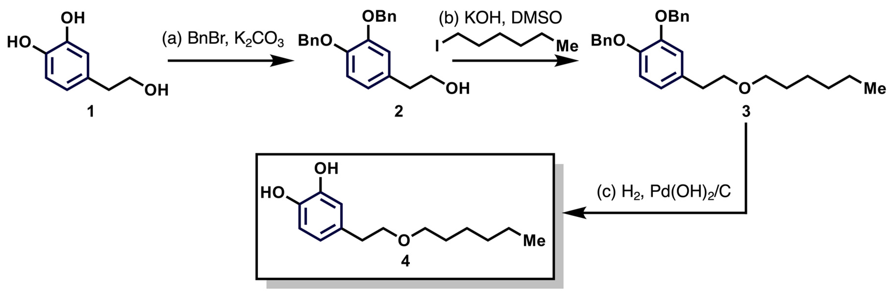 Antioxidants 12 01513 g001