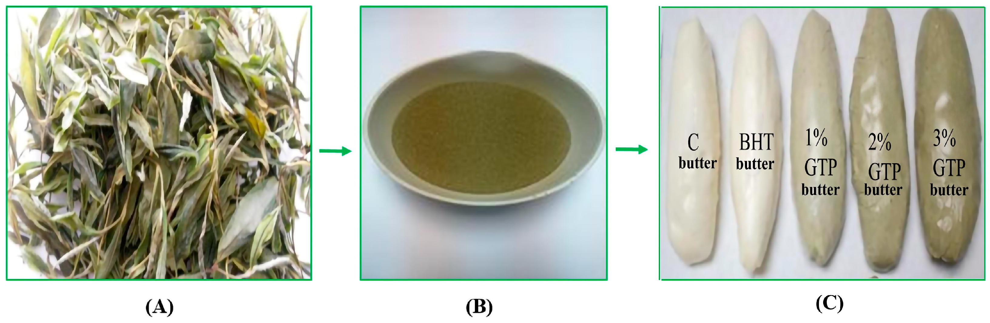 Antioxidants 12 01522 g001 Antioxidants 12 01522 g001