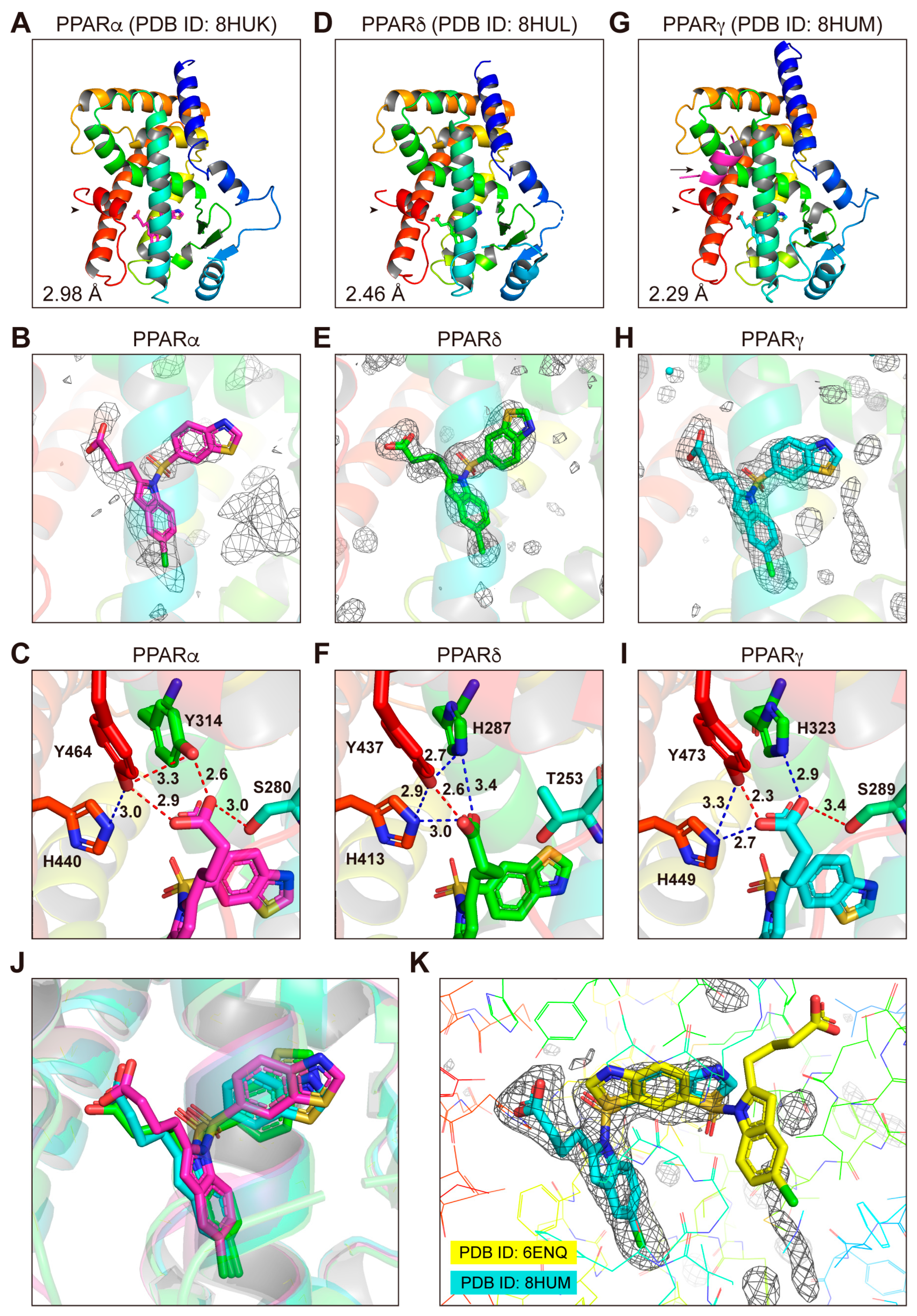 Antioxidants 12 01523 g004