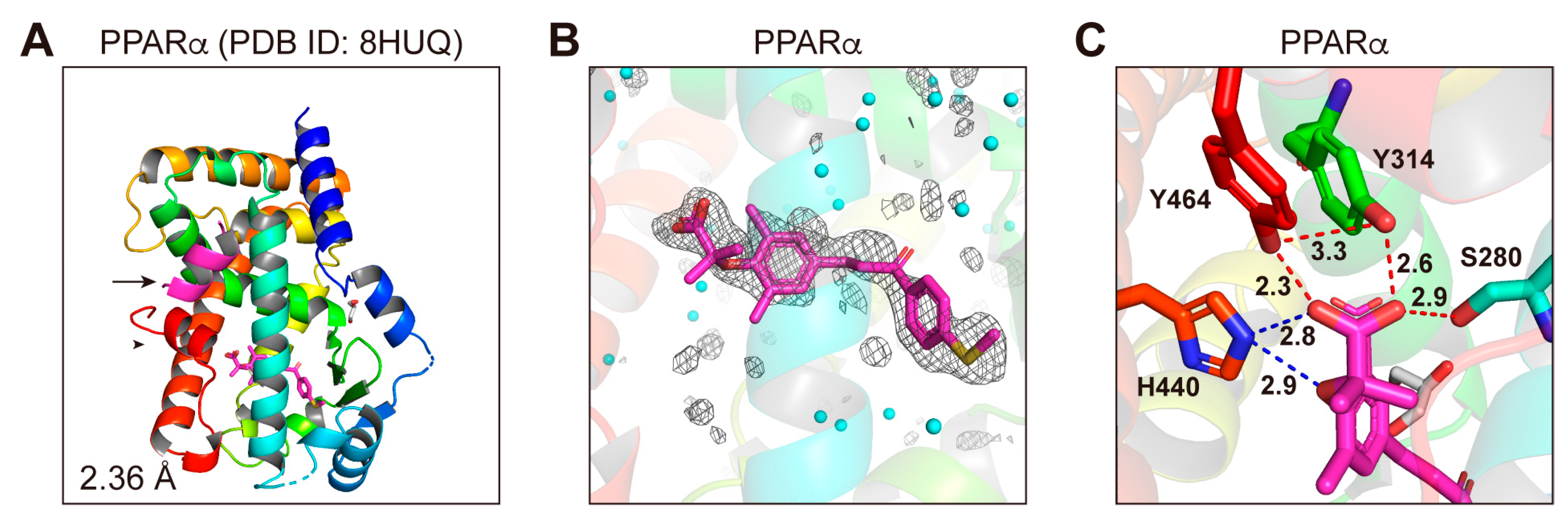 Antioxidants 12 01523 g006