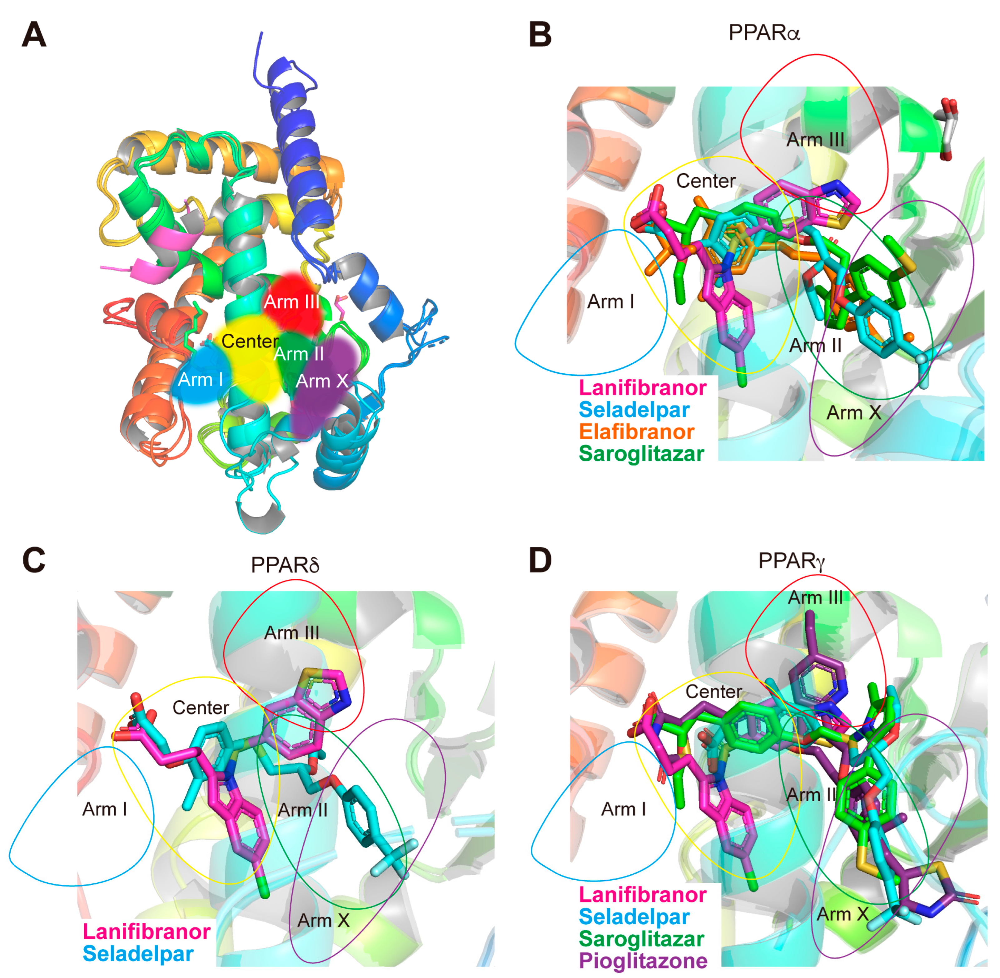 Antioxidants 12 01523 g007
