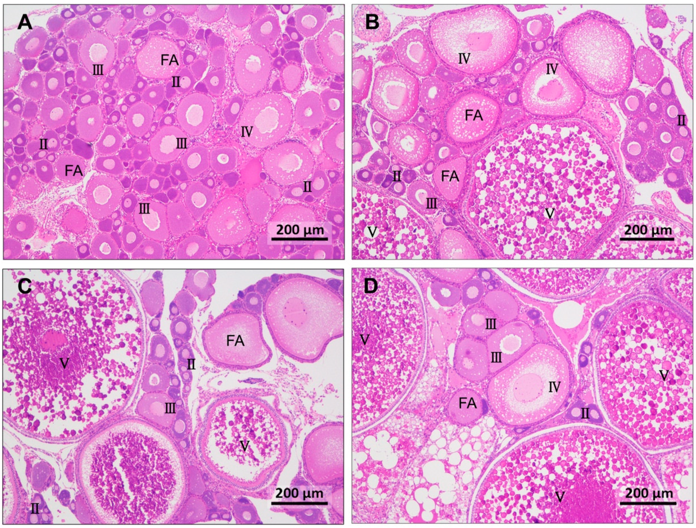 Antioxidants 12 01524 g002