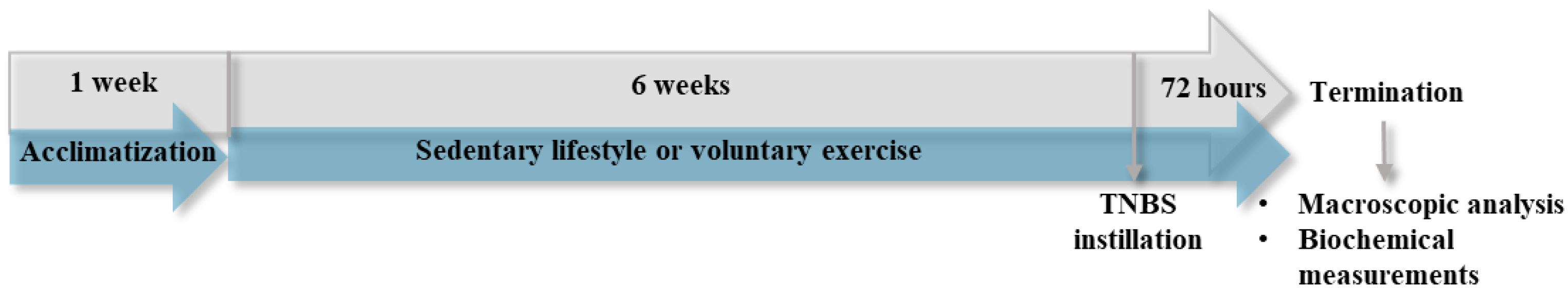 Antioxidants 12 01531 g001