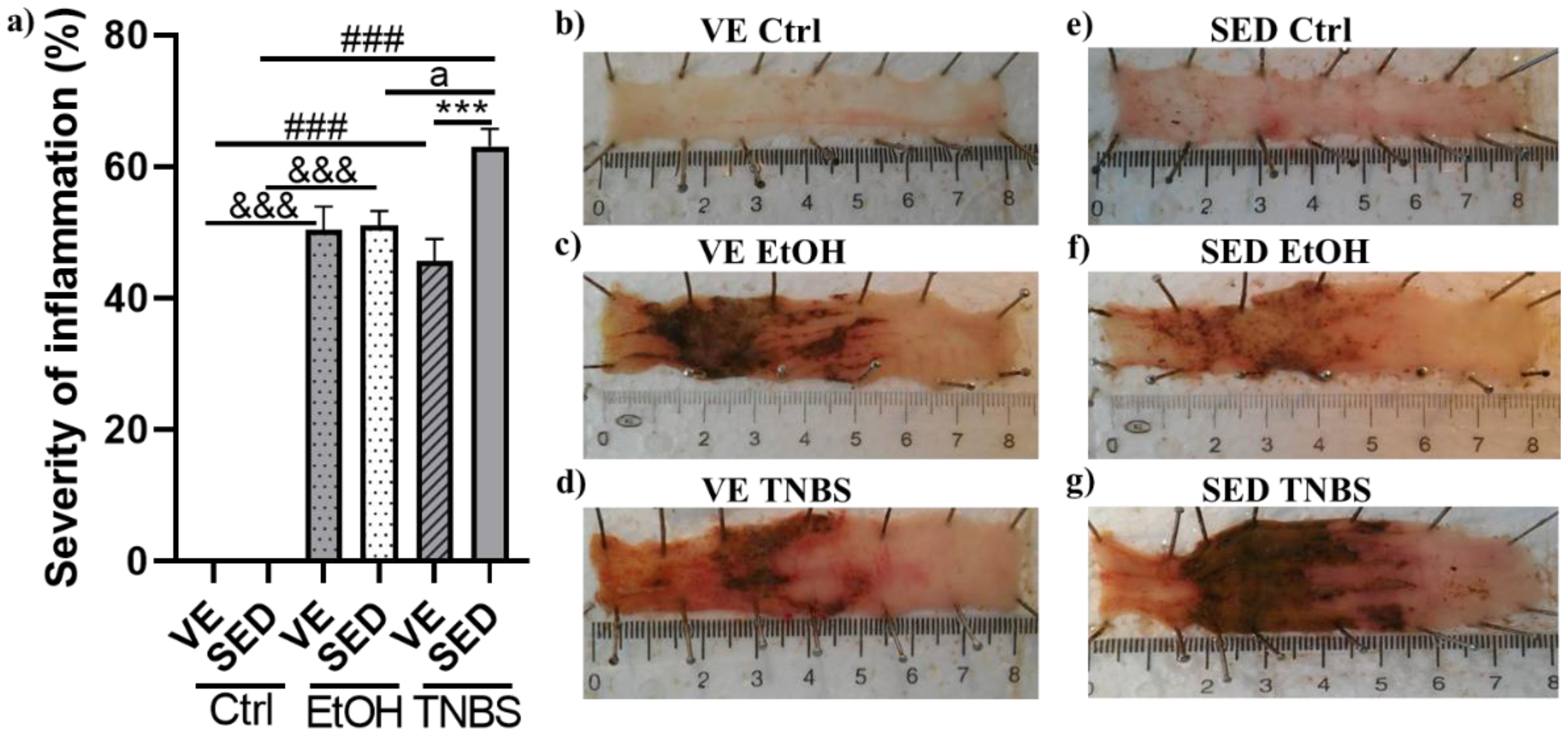 Antioxidants 12 01531 g002