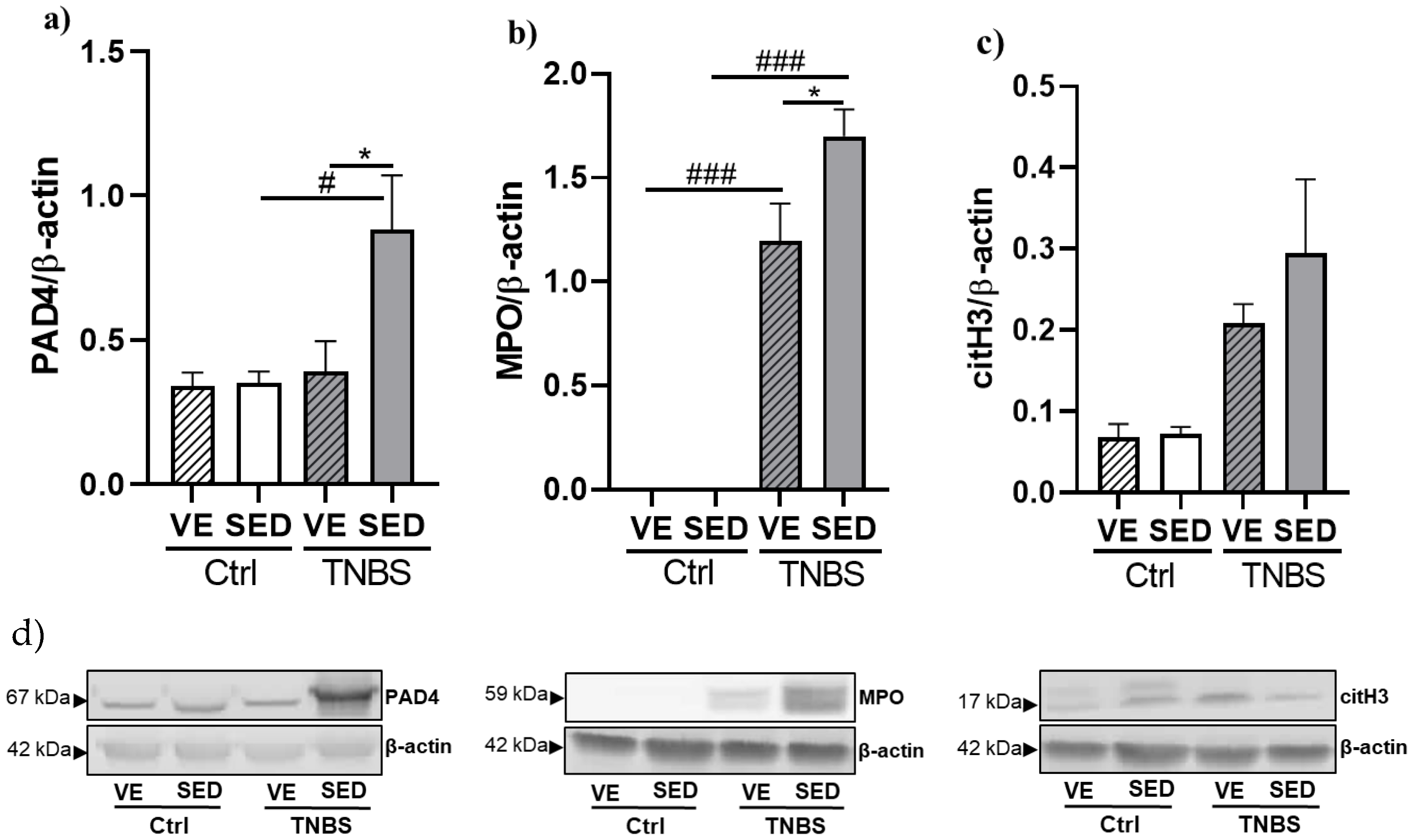 Antioxidants 12 01531 g004