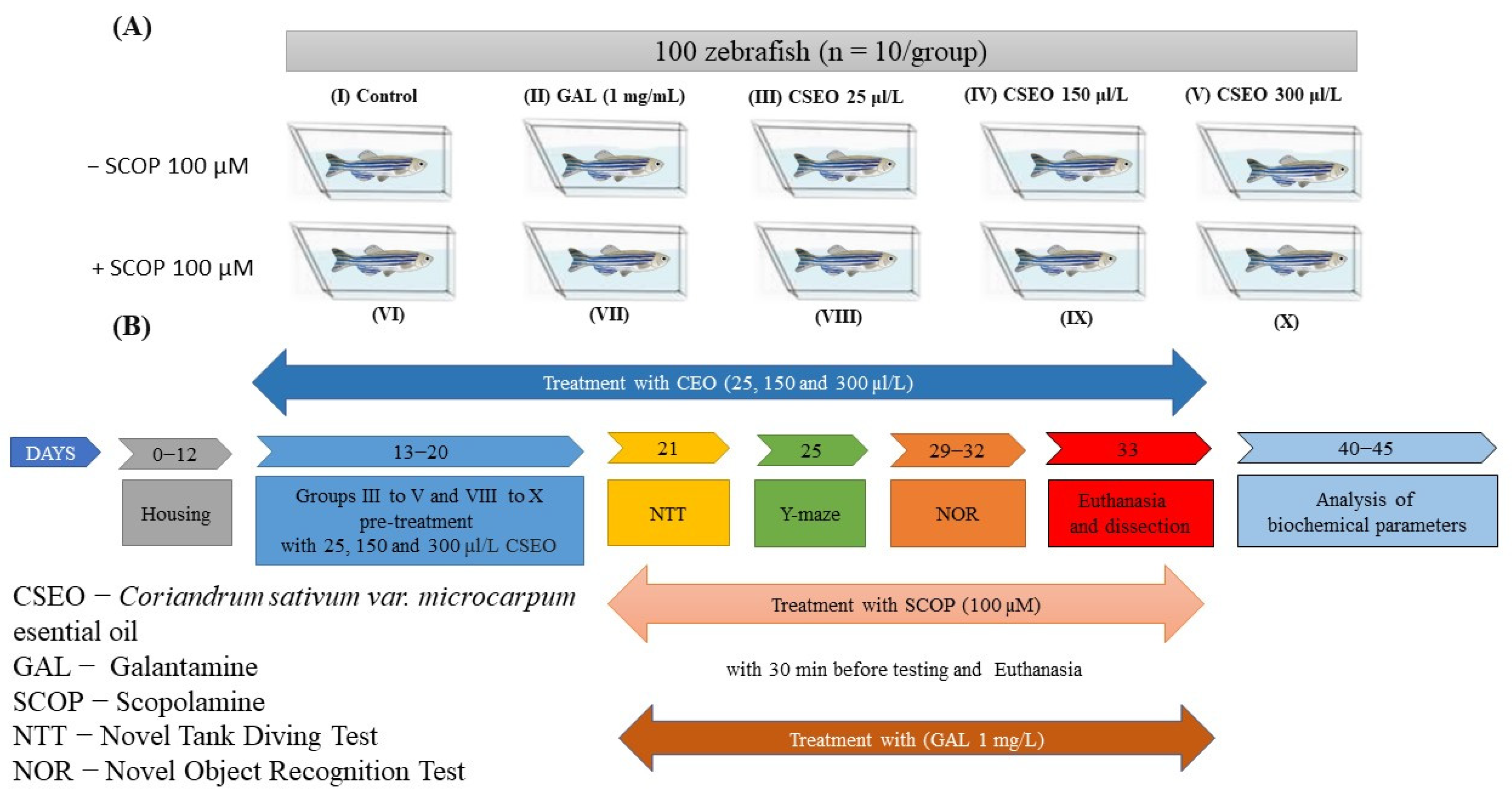 Antioxidants 12 01534 g001