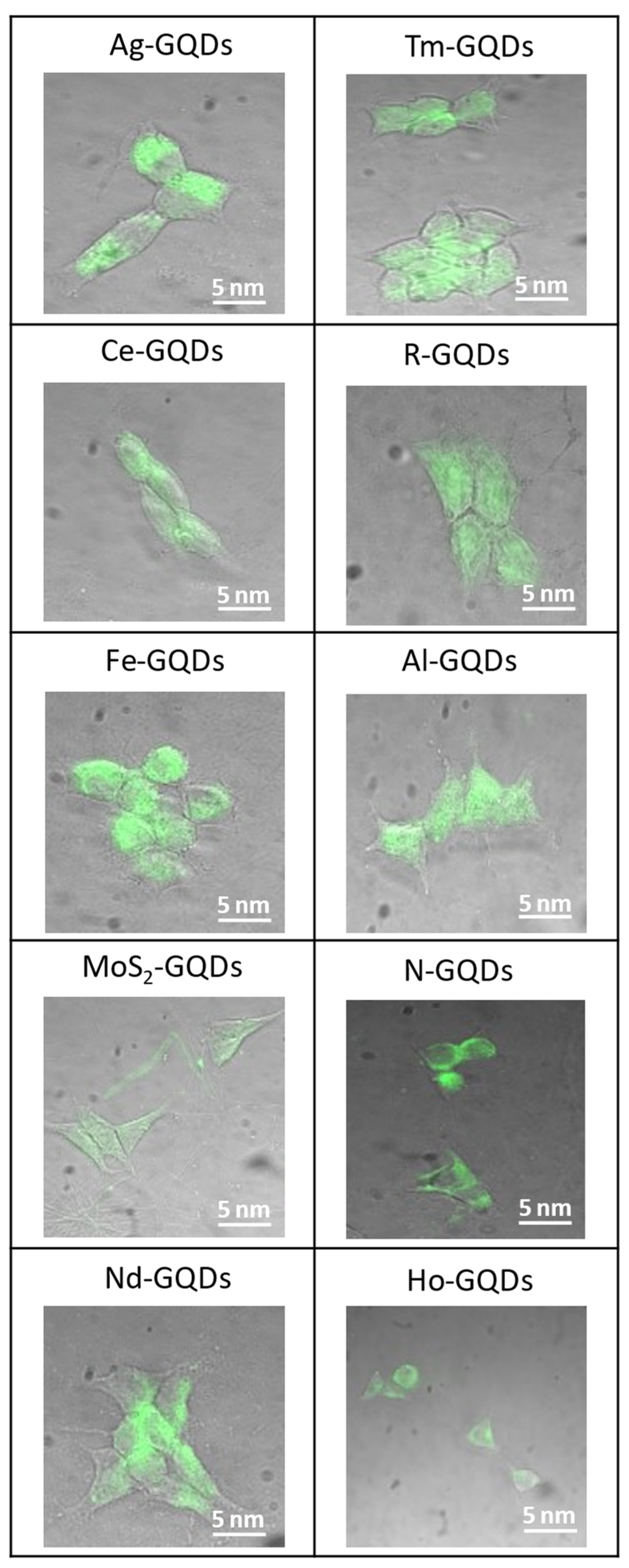 Antioxidants 12 01536 g004