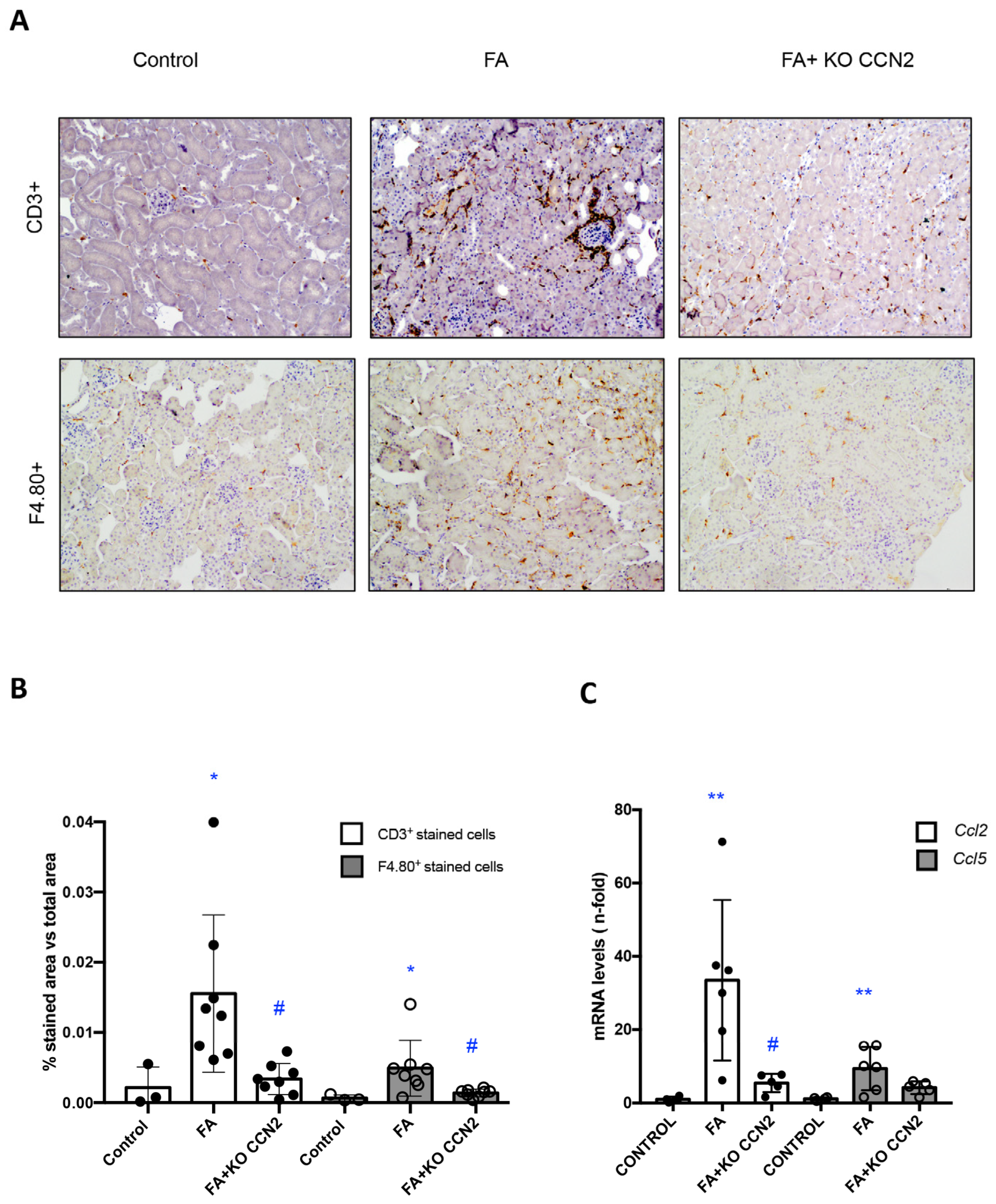 Antioxidants 12 01541 g002