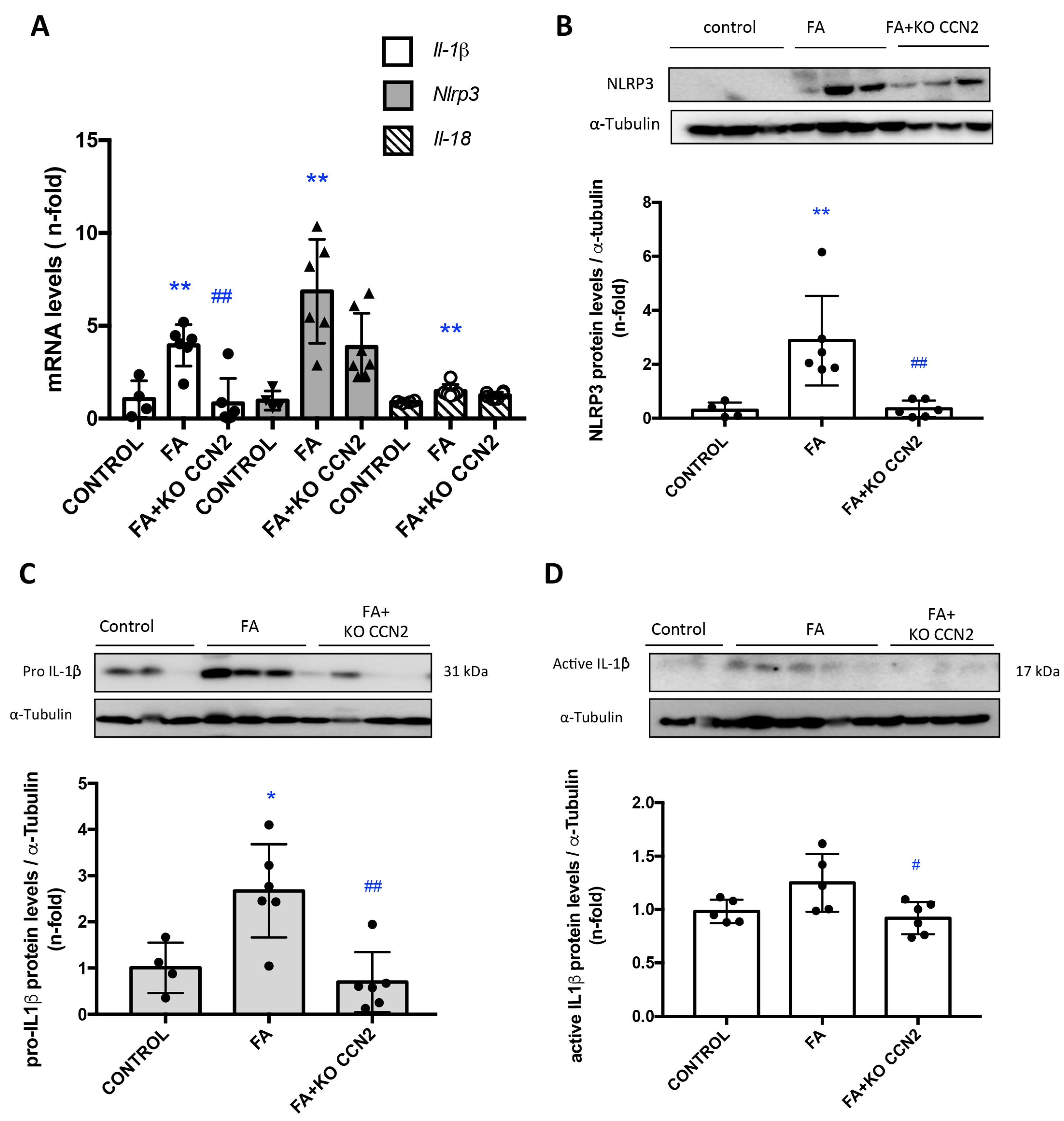 Antioxidants 12 01541 g006
