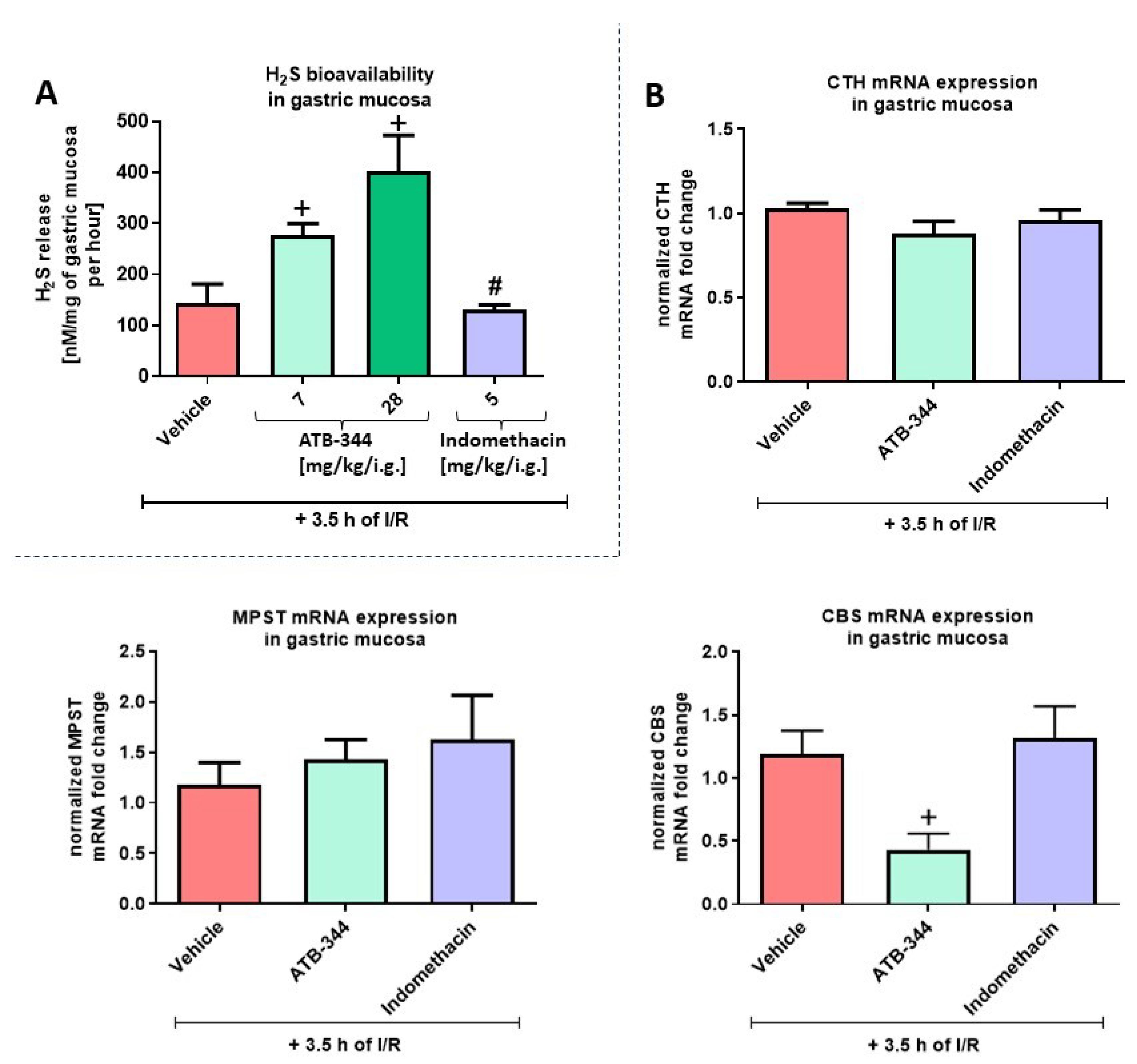 Antioxidants 12 01545 g002