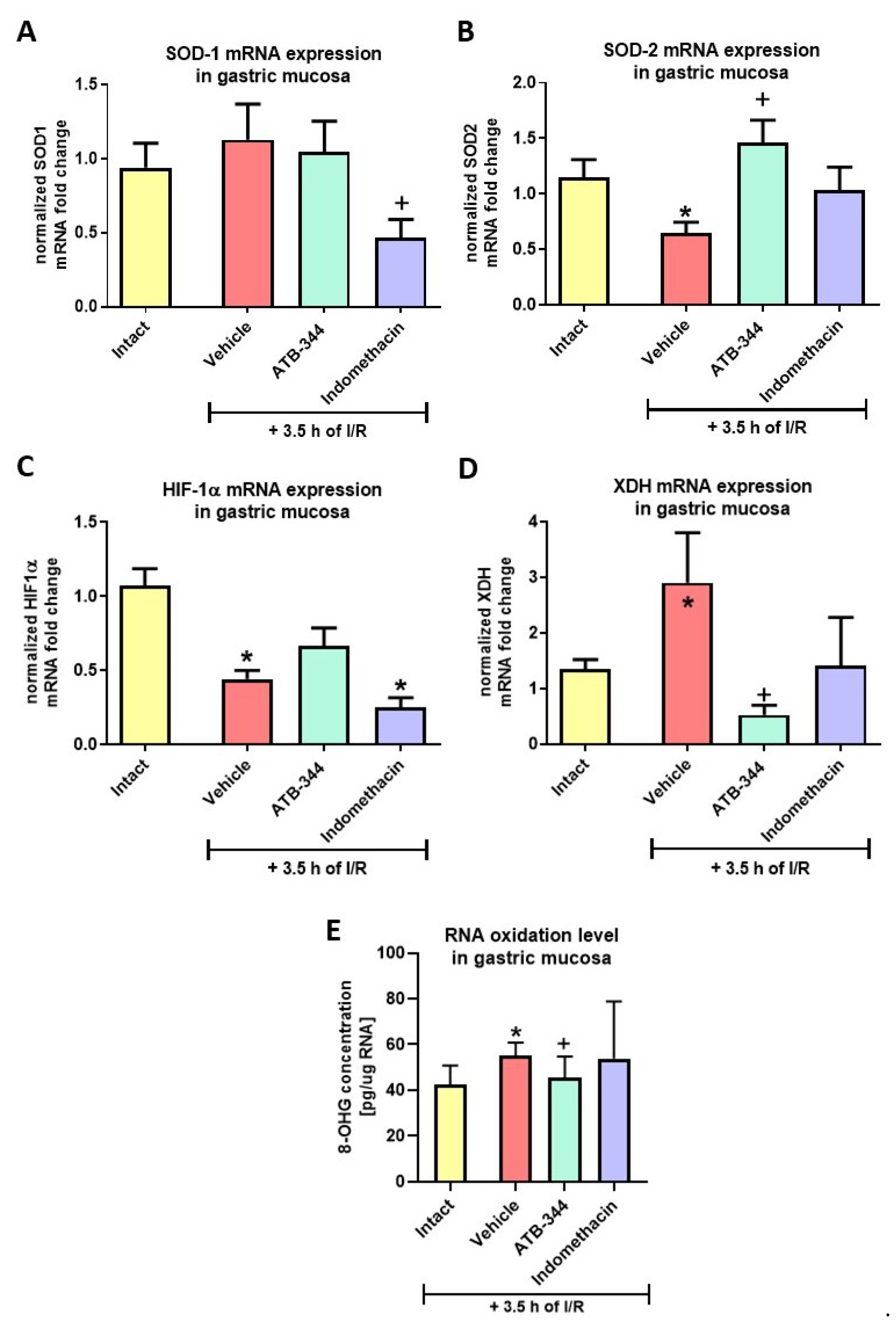 Antioxidants 12 01545 g005