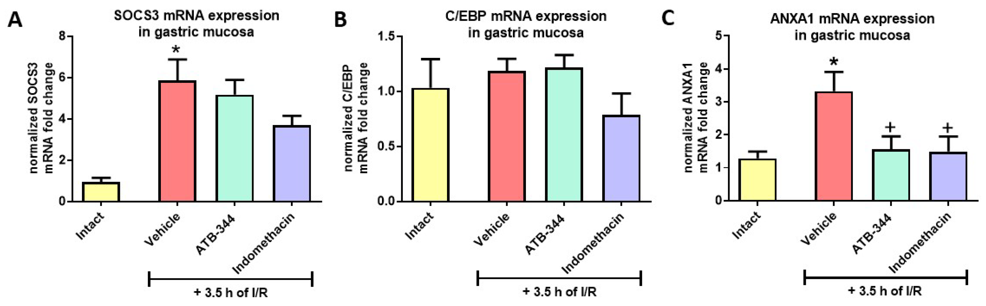 Antioxidants 12 01545 g007