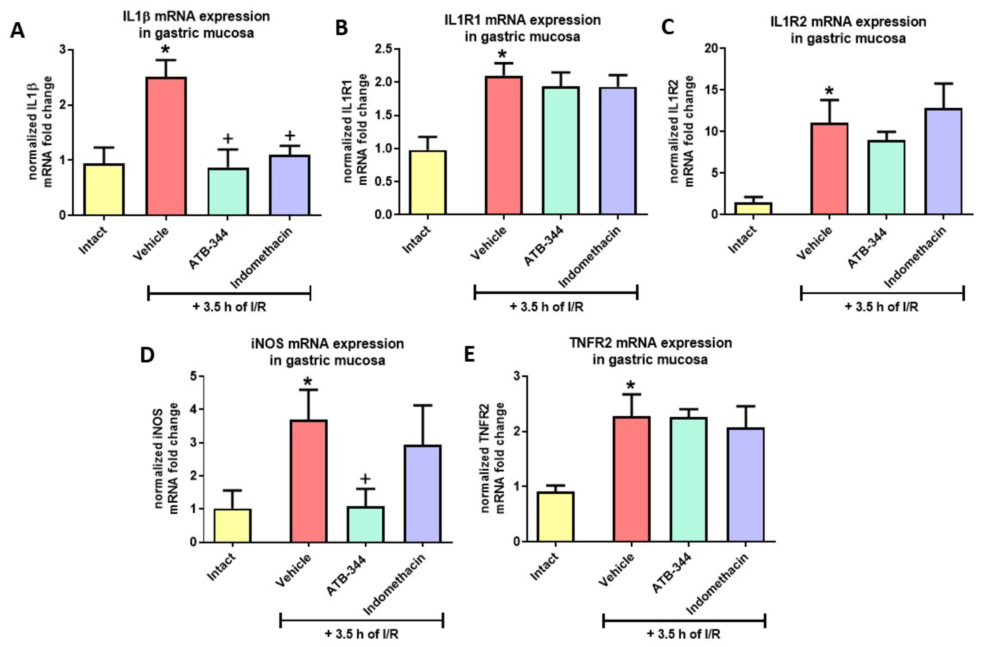 Antioxidants 12 01545 g008