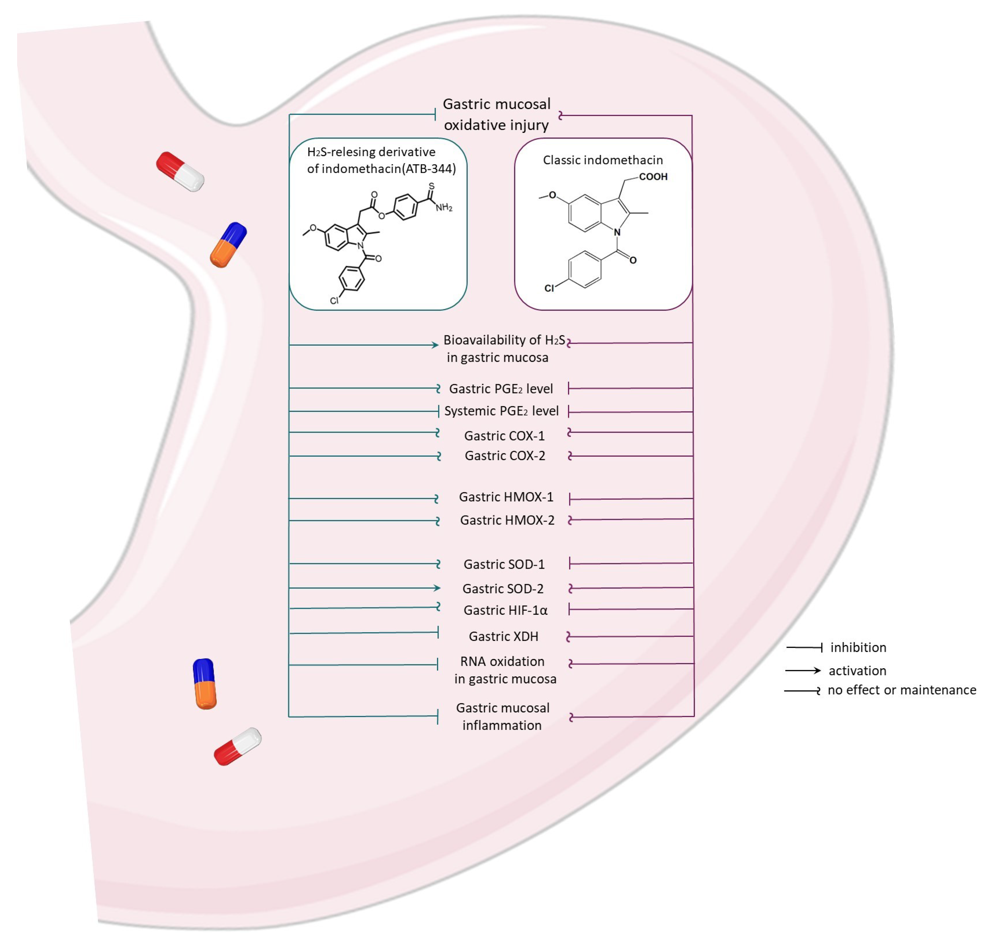 Antioxidants 12 01545 g009