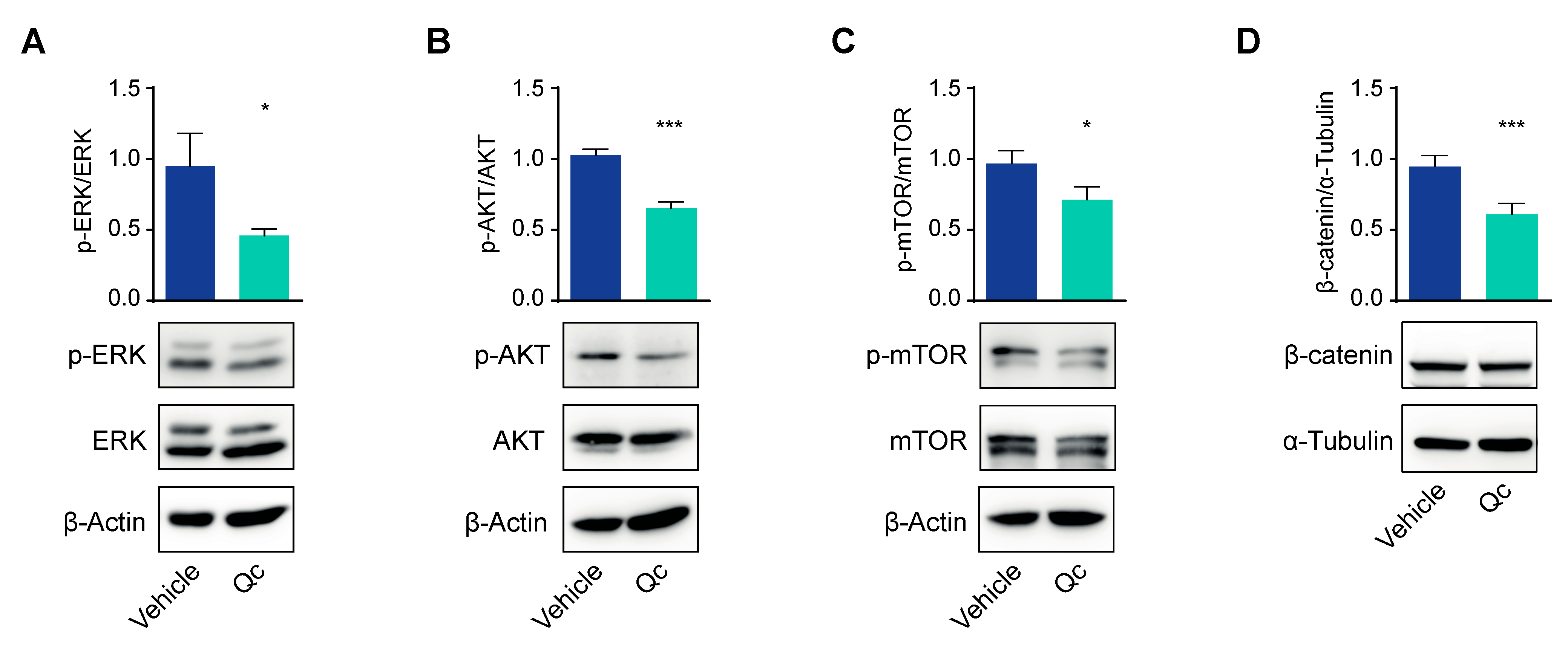 Antioxidants 12 01547 g002