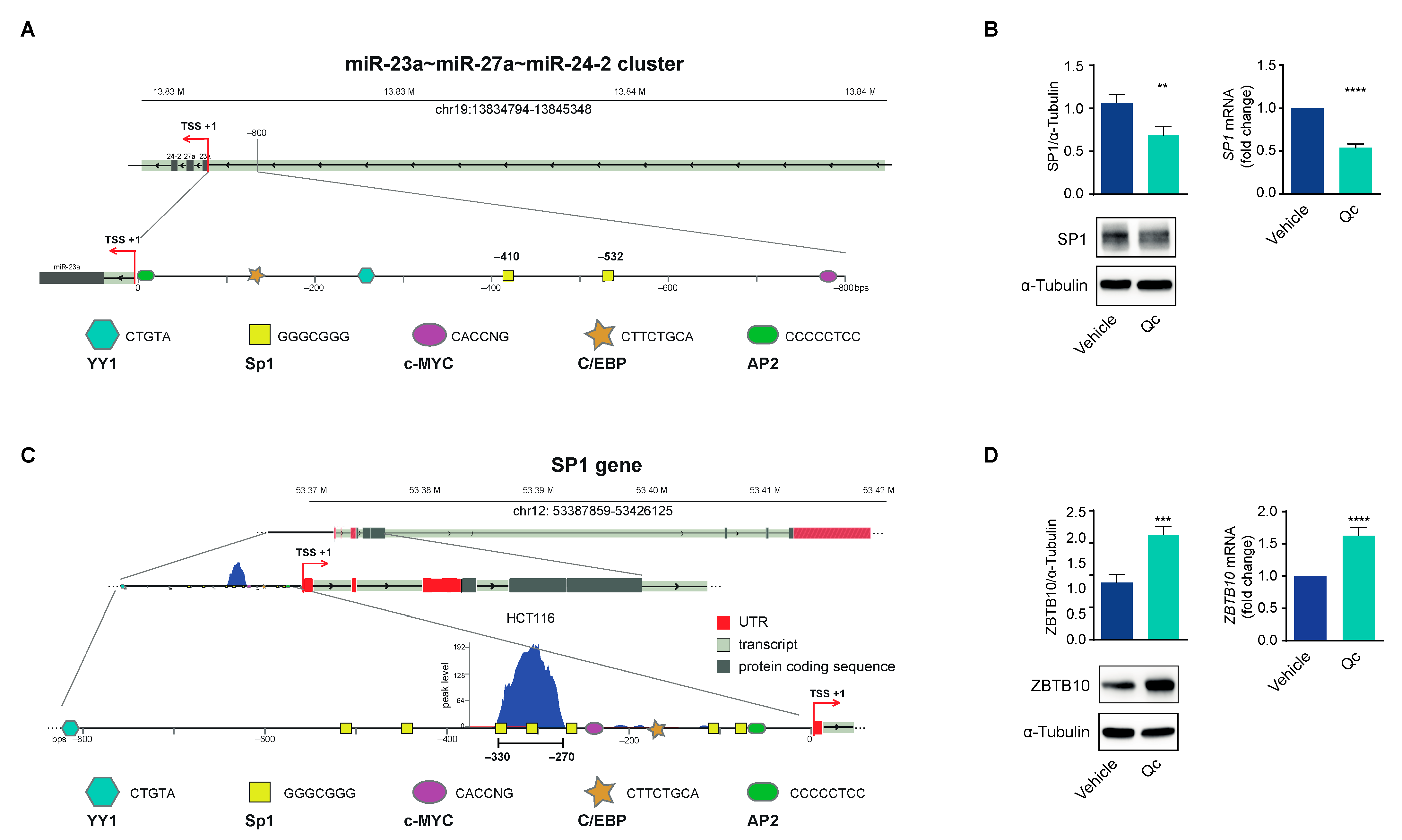 Antioxidants 12 01547 g005