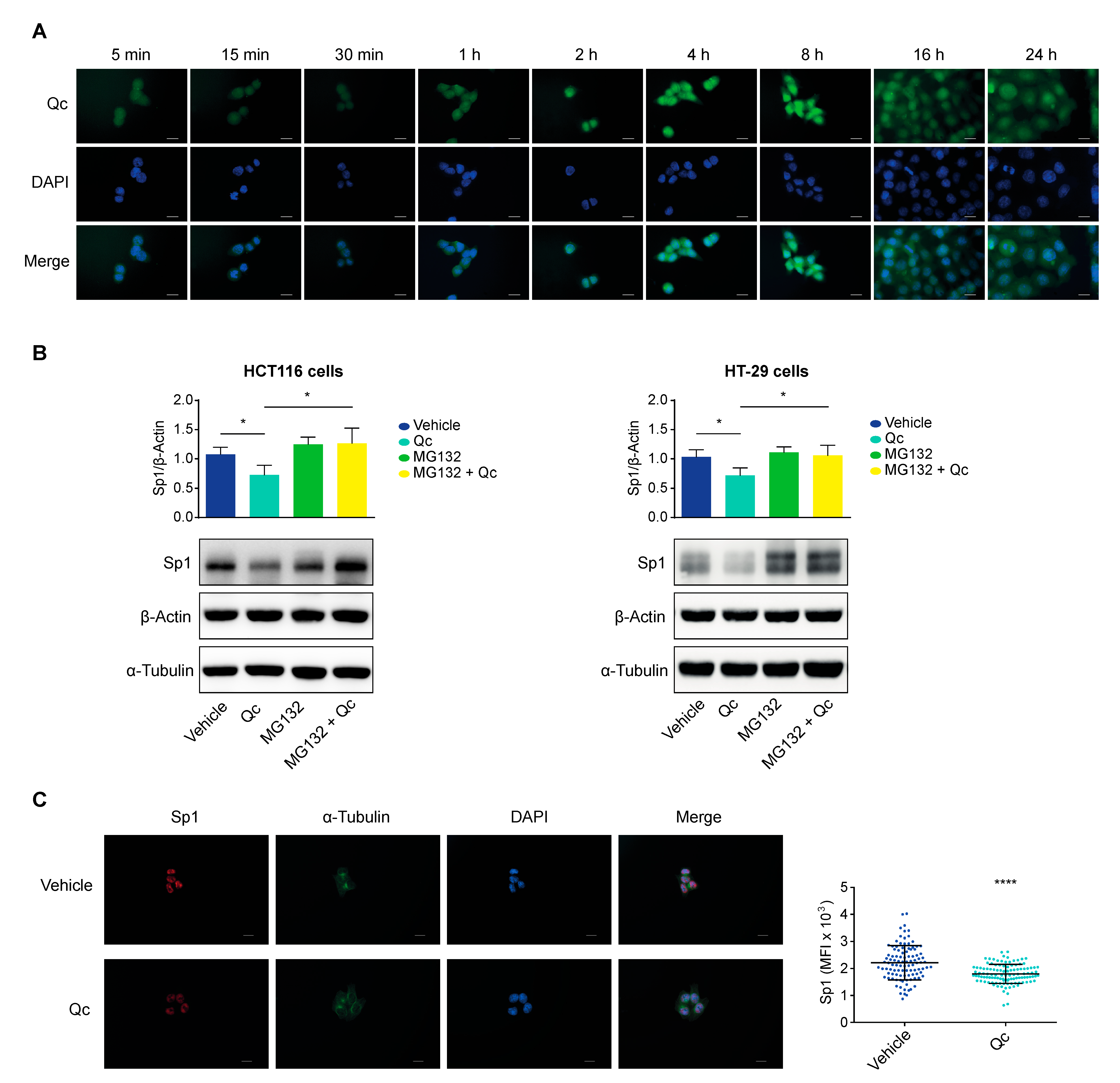 Antioxidants 12 01547 g006