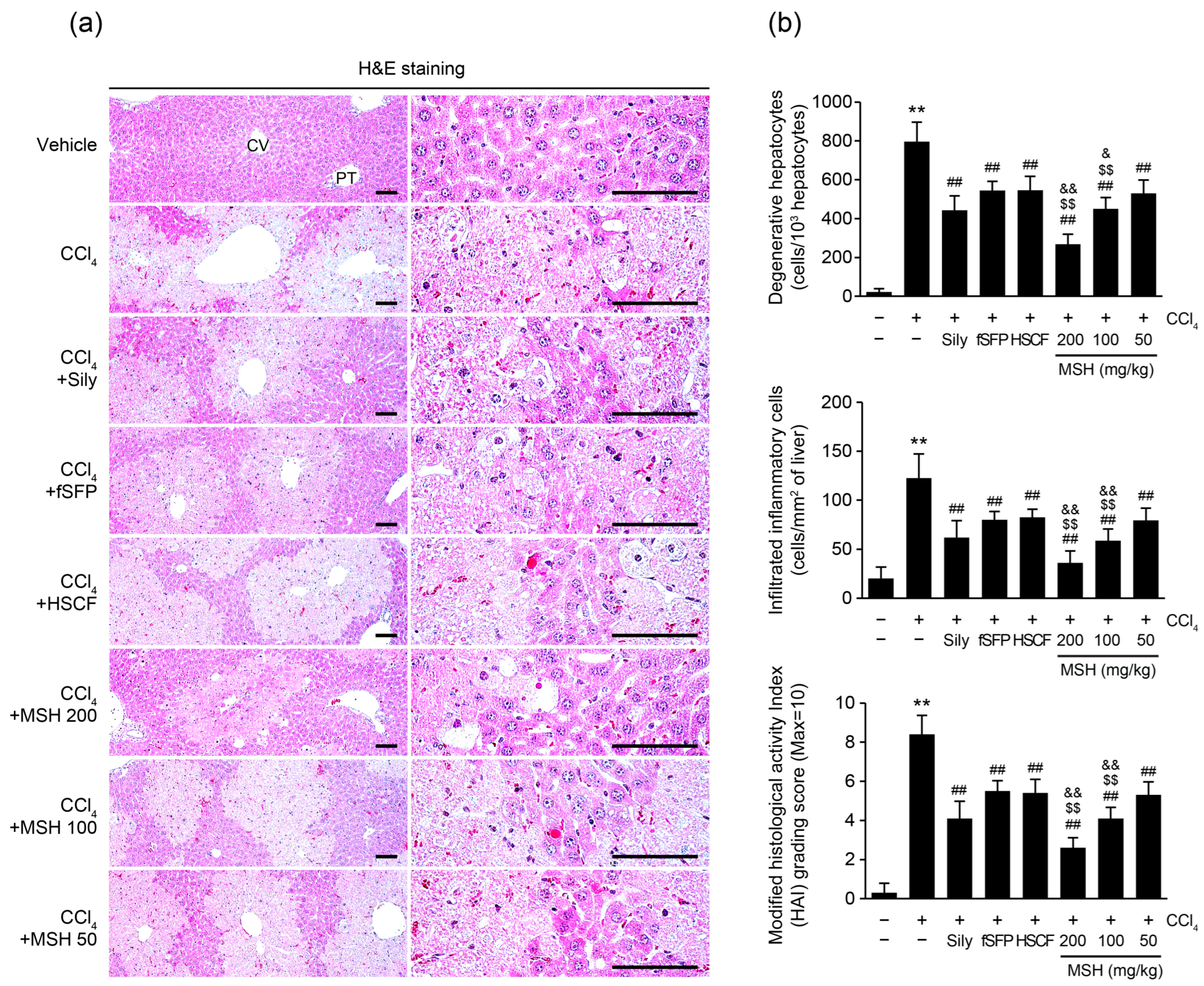 Antioxidants 12 01556 g002