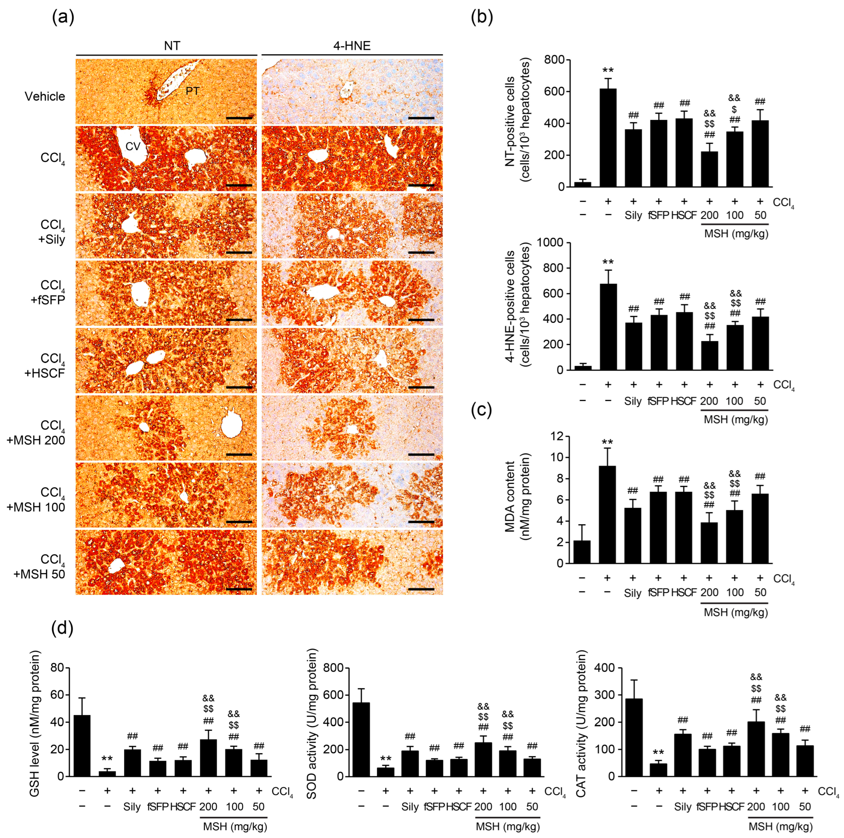 Antioxidants 12 01556 g004