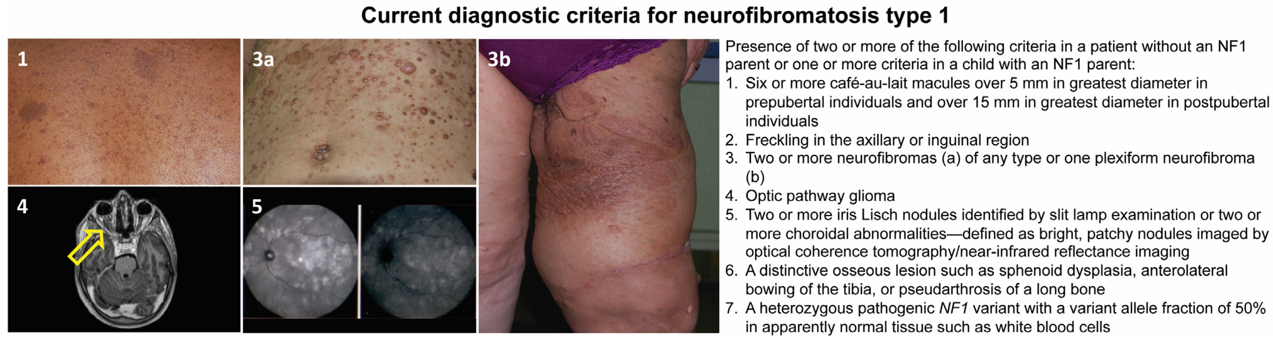 Antioxidants 12 01557 g001