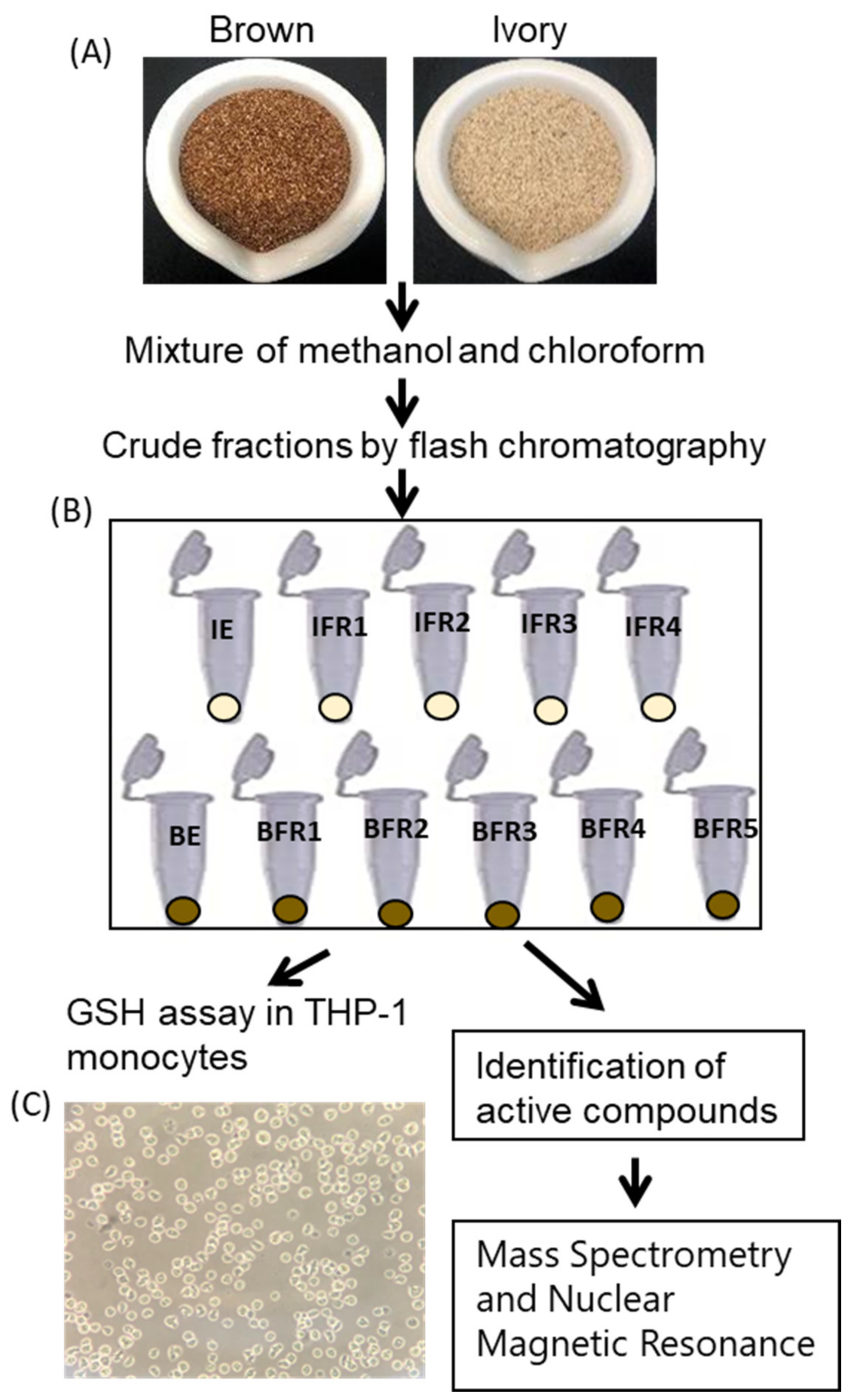 Antioxidants 12 01561 g001
