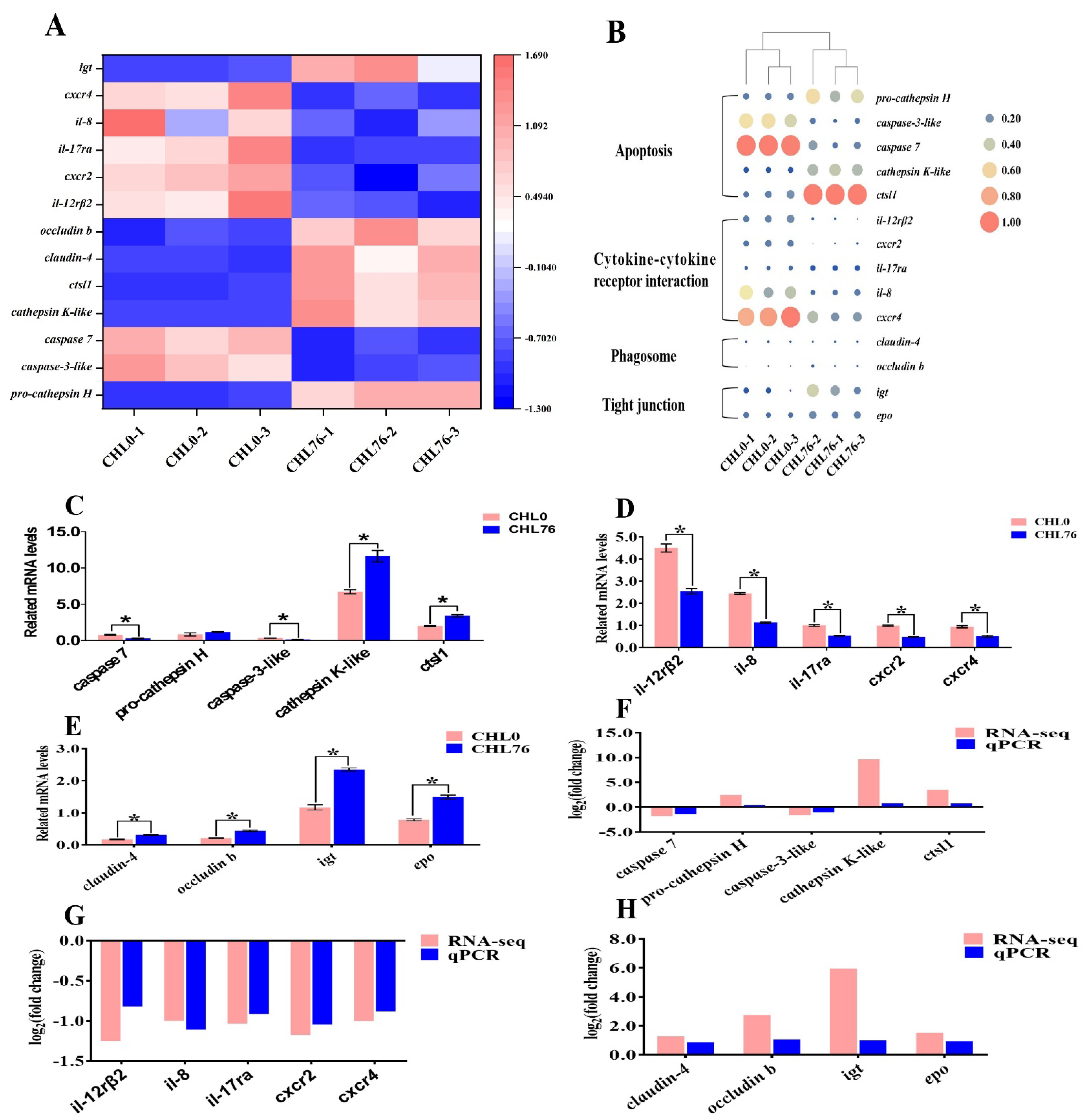 Antioxidants 12 01565 g004