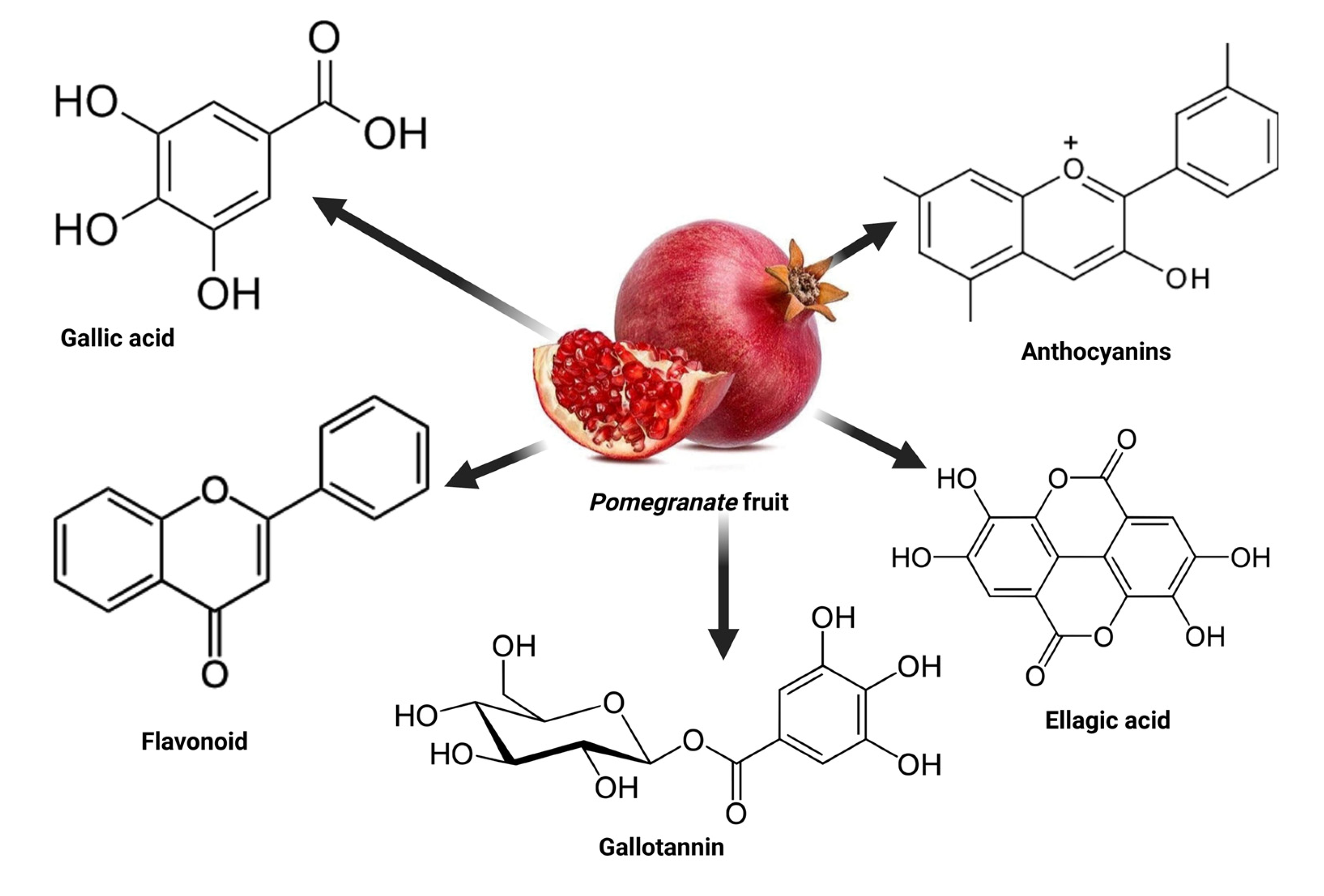 Antioxidants 12 01566 g003