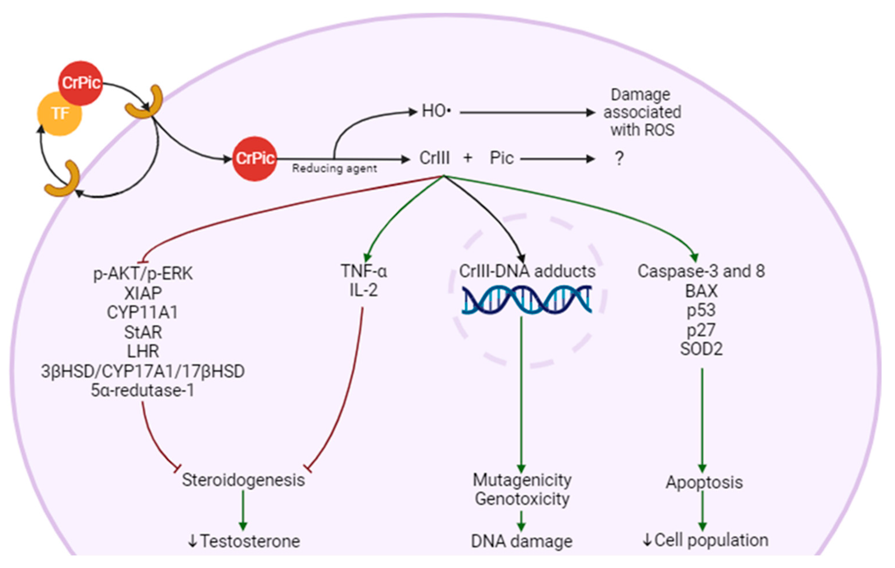 Antioxidants 12 01572 g002