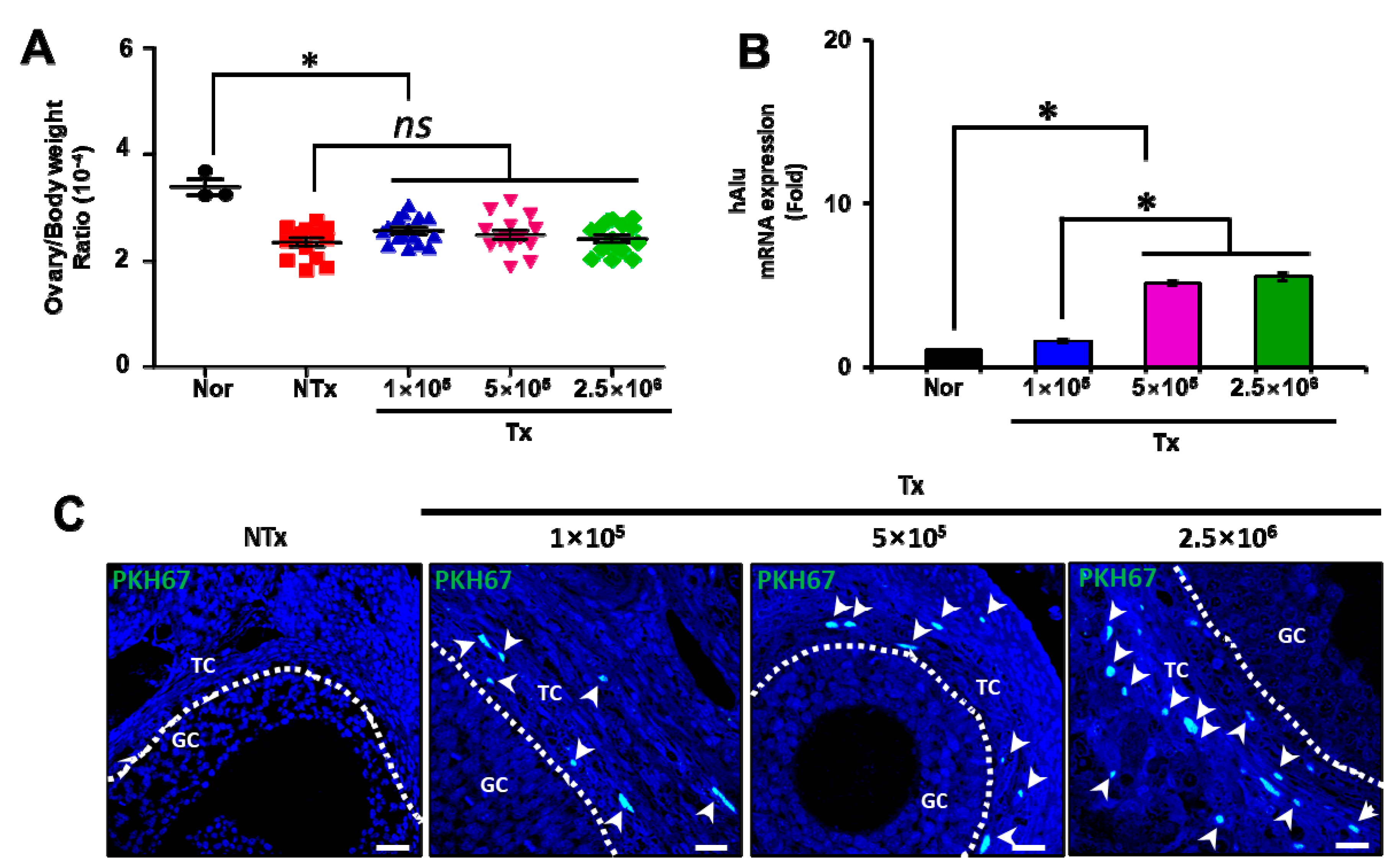 Antioxidants 12 01575 g001