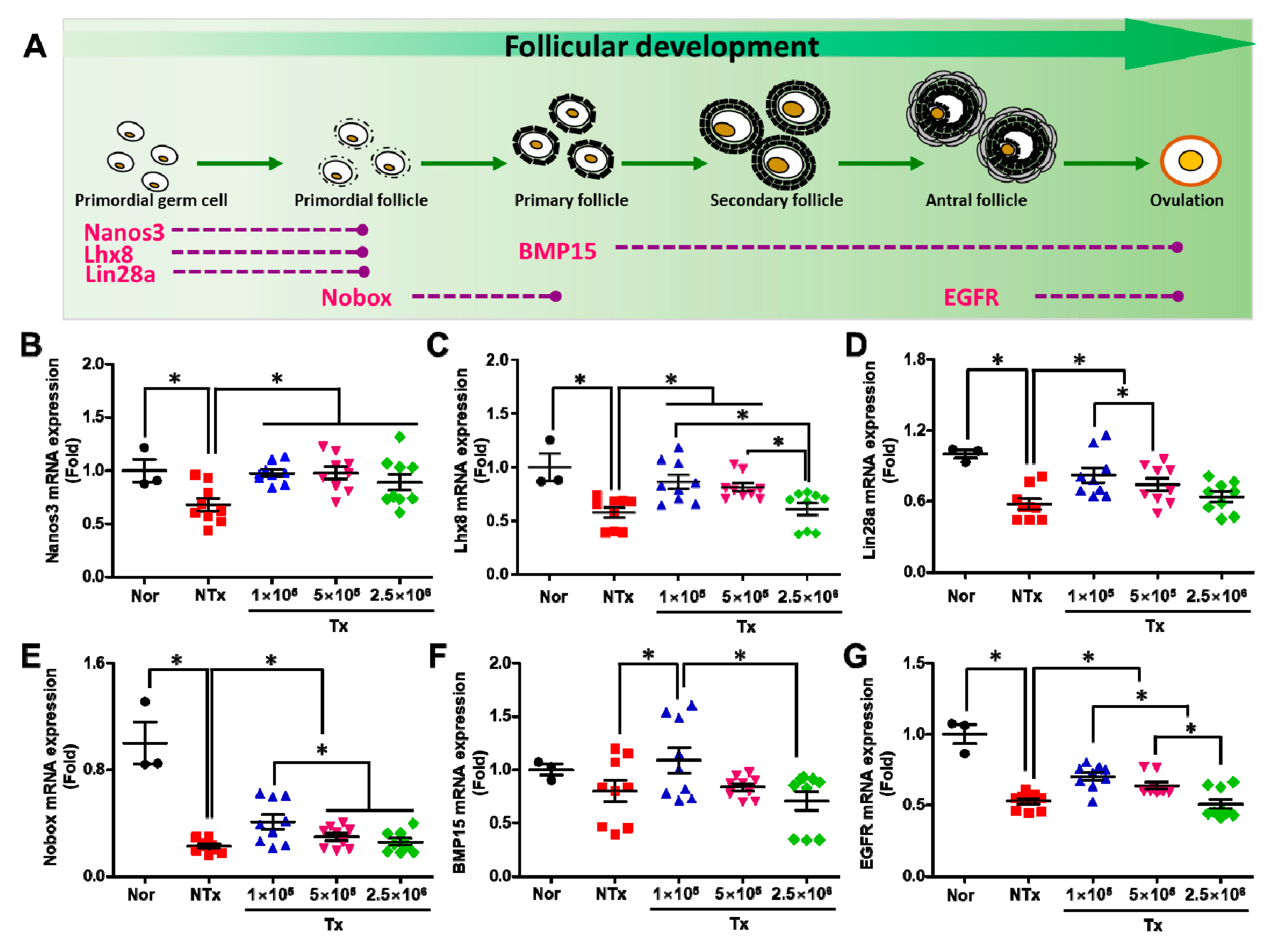 Antioxidants 12 01575 g002