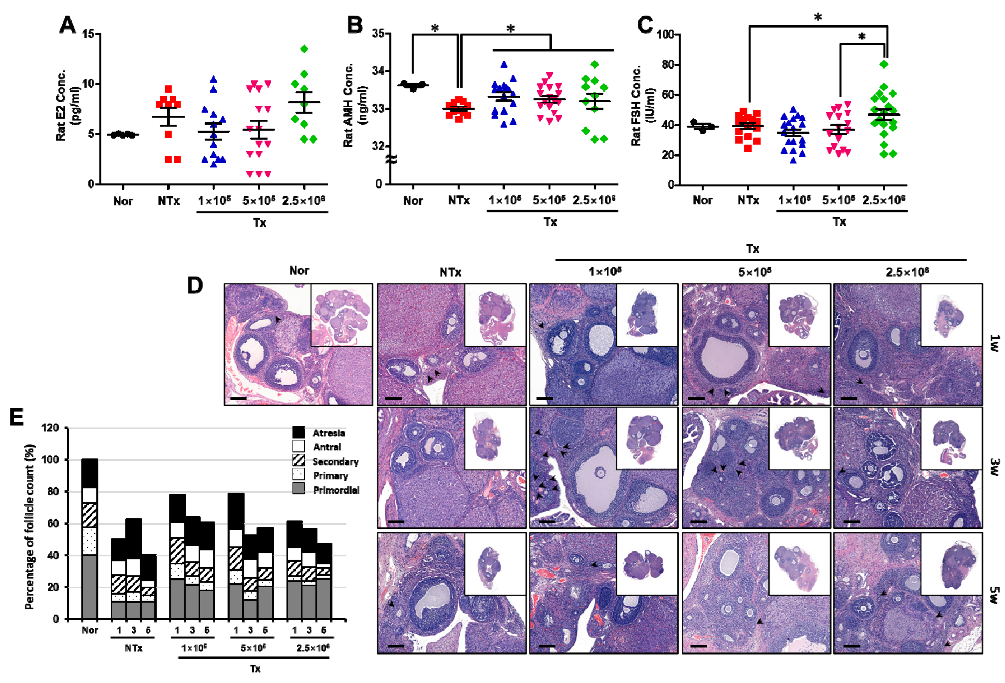 Antioxidants 12 01575 g003