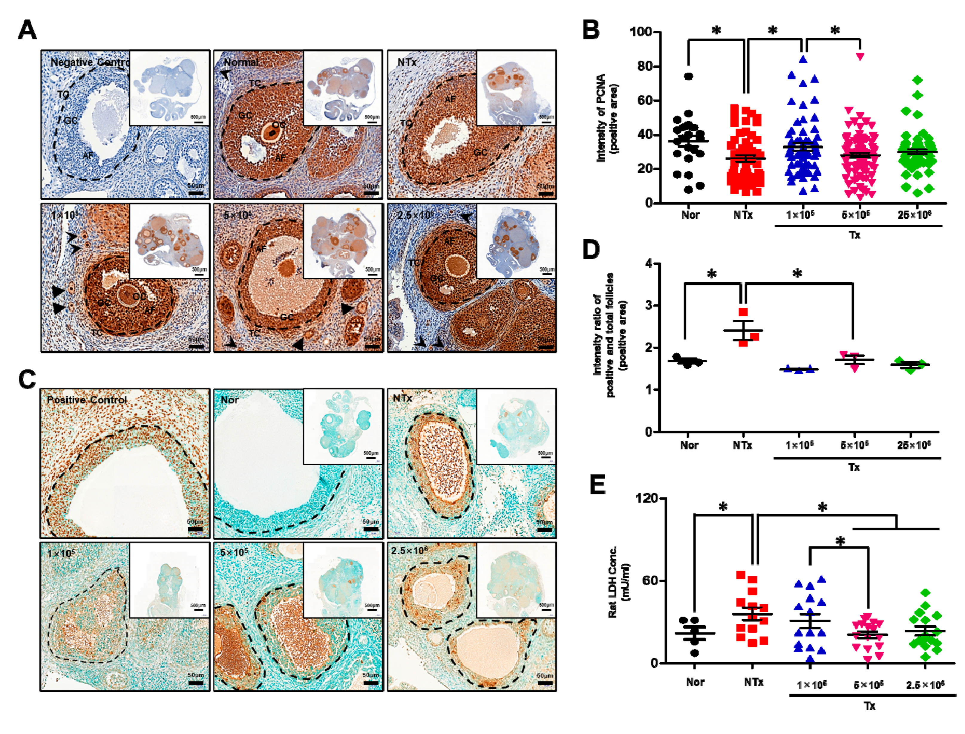 Antioxidants 12 01575 g004