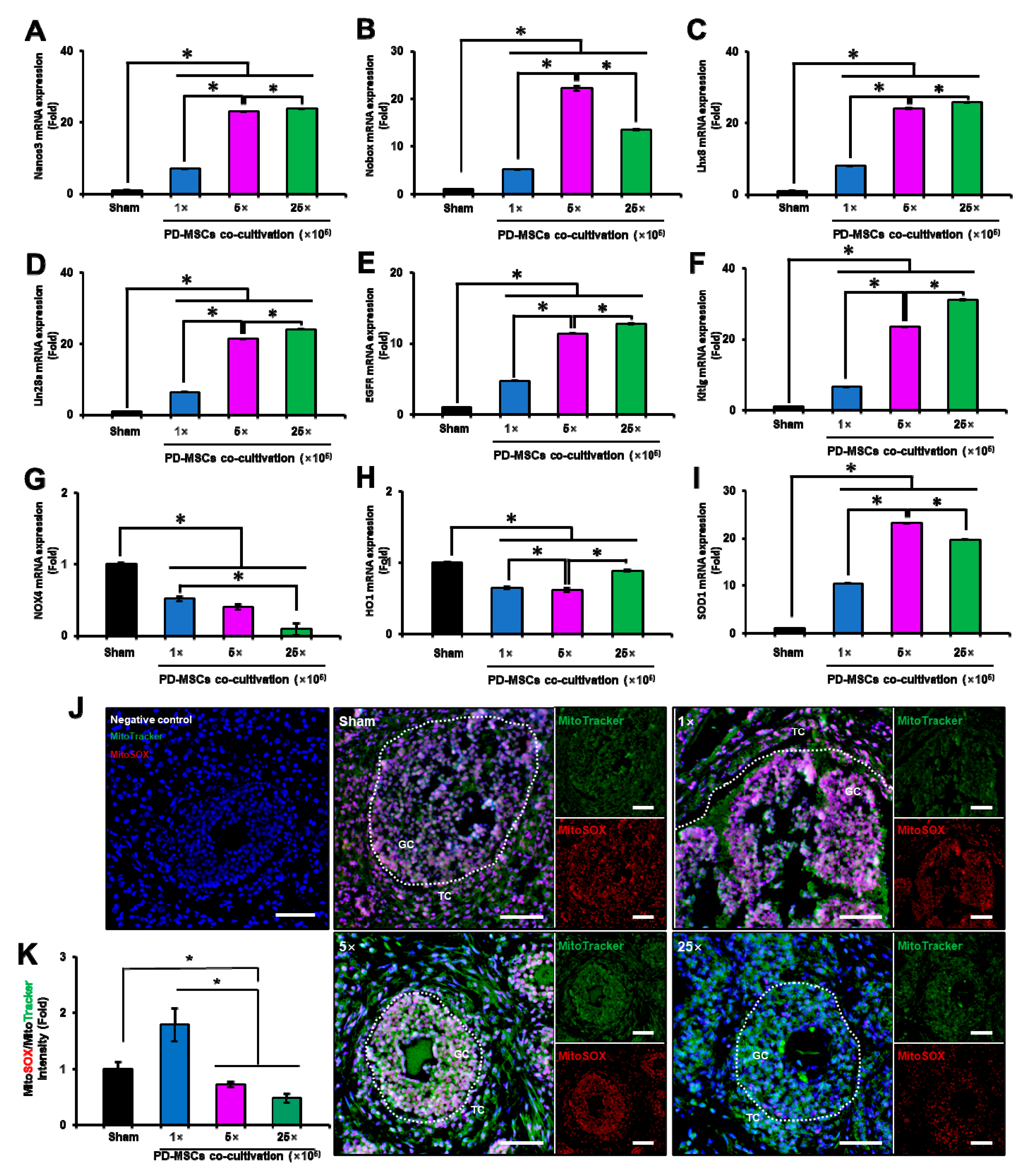 Antioxidants 12 01575 g007