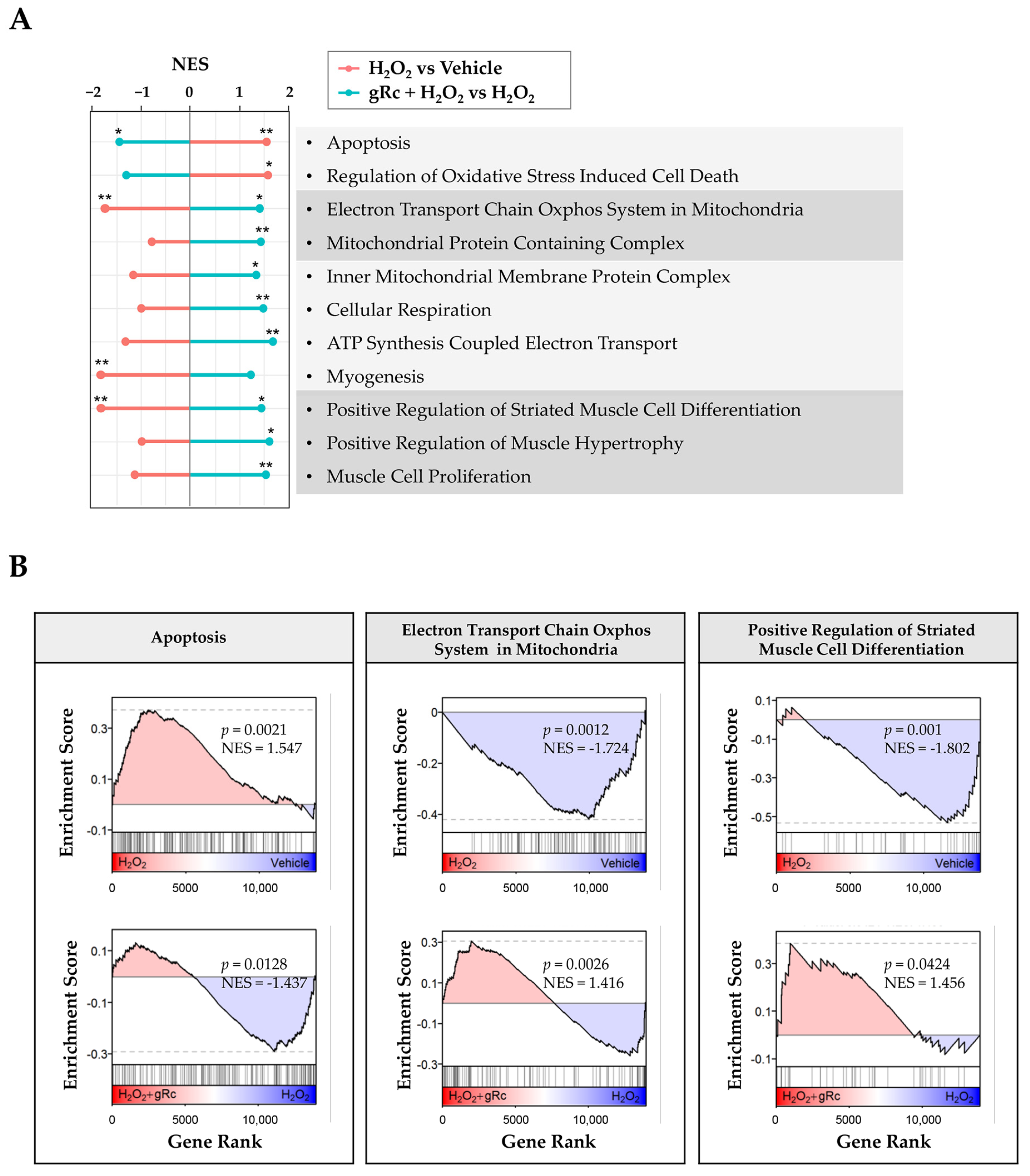 Antioxidants 12 01576 g005 Antioxidants 12 01576 g005