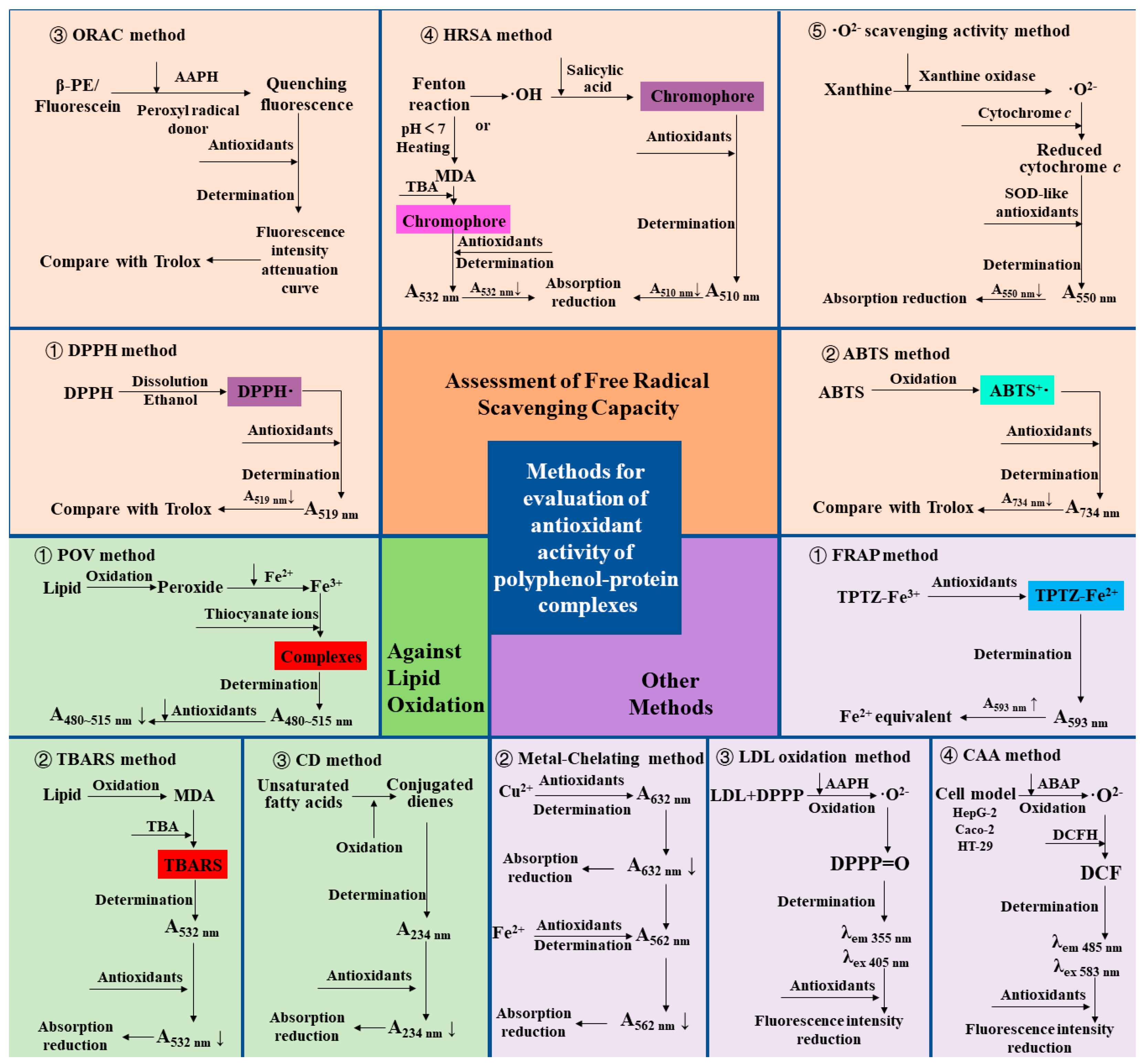 Antioxidants 12 01577 g004