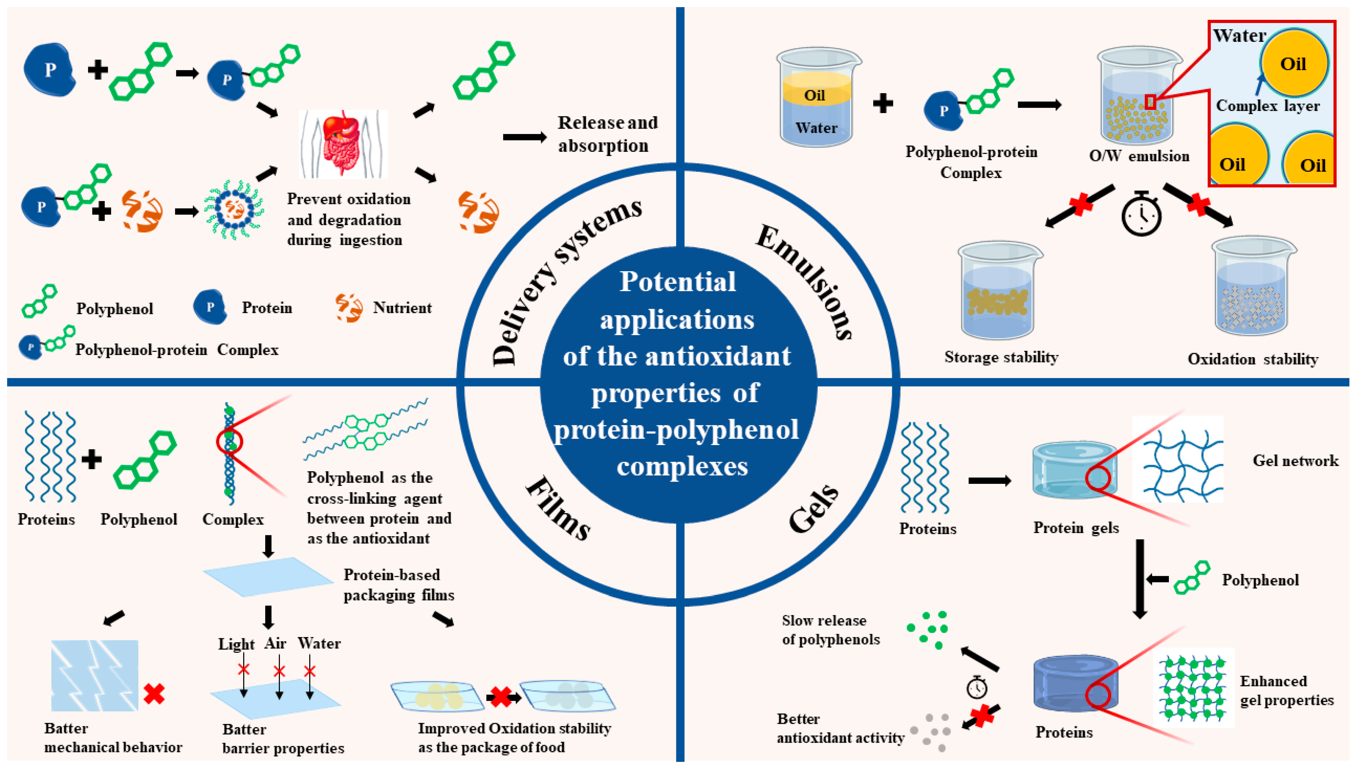 Antioxidants 12 01577 g005