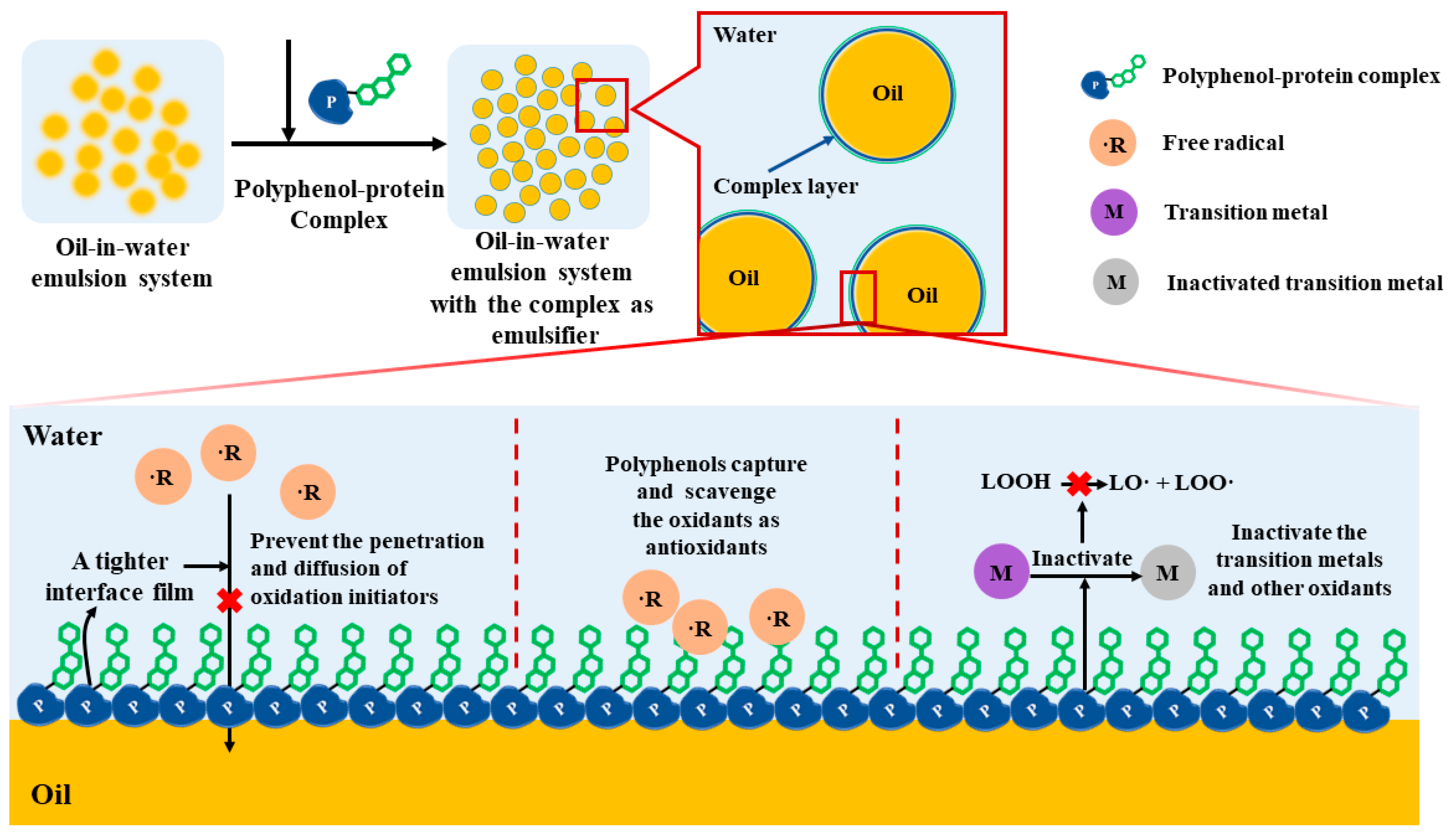Antioxidants 12 01577 g006