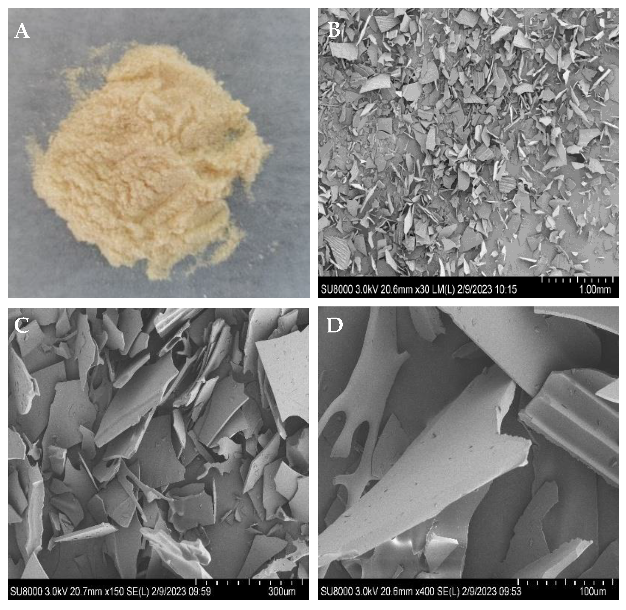 Antioxidants 12 01579 g001