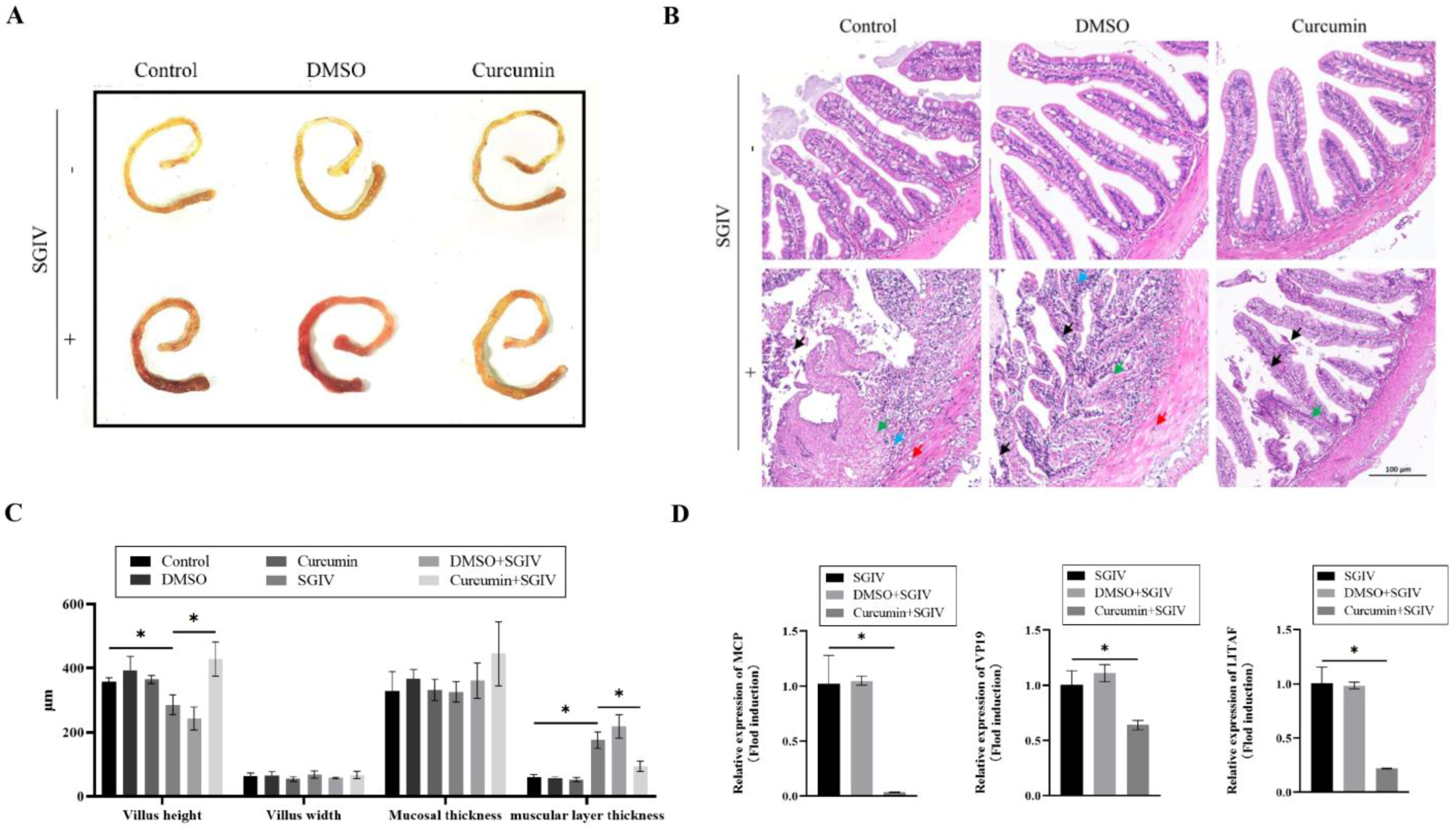 Antioxidants 12 01584 g001