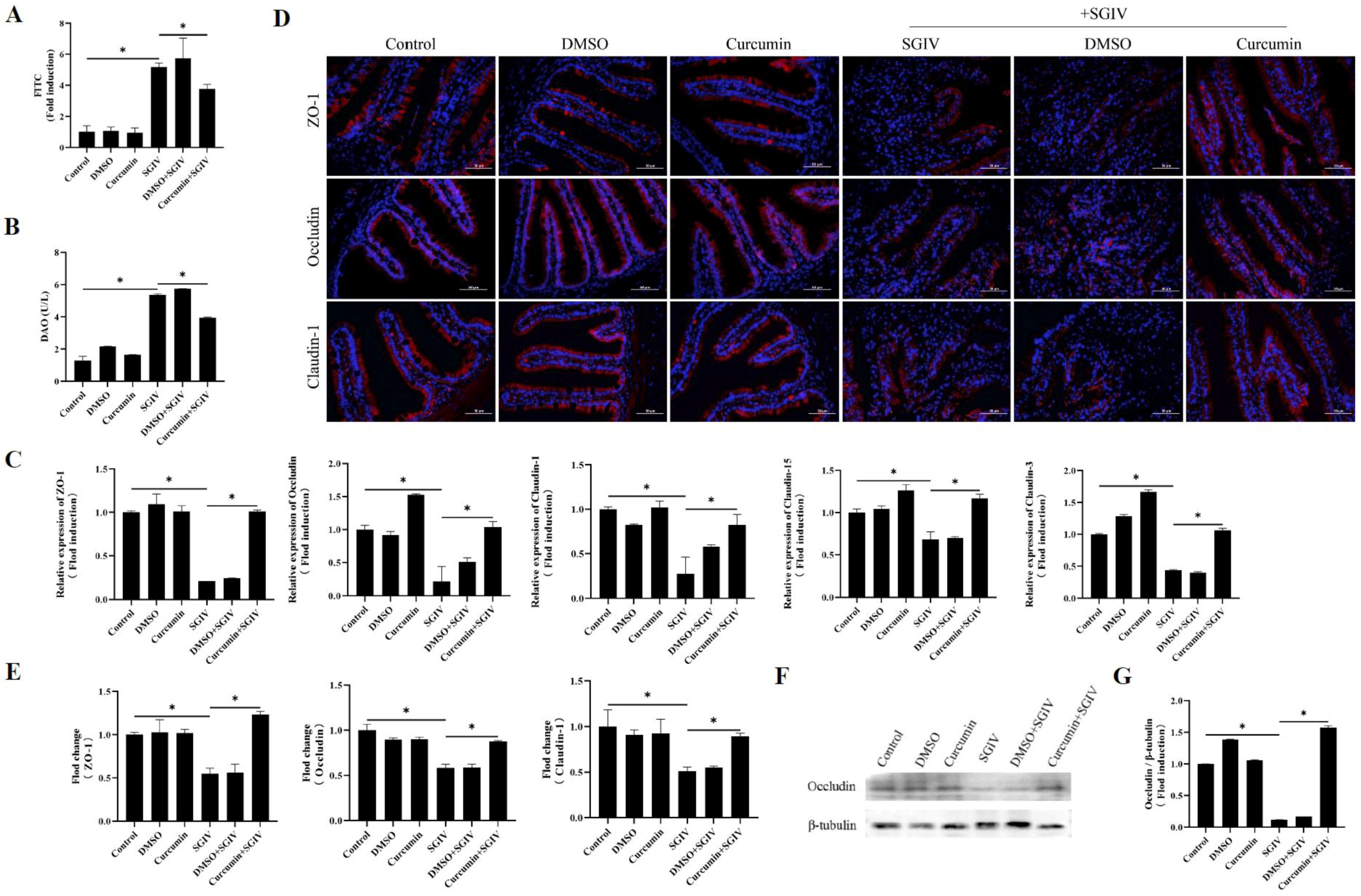 Antioxidants 12 01584 g002