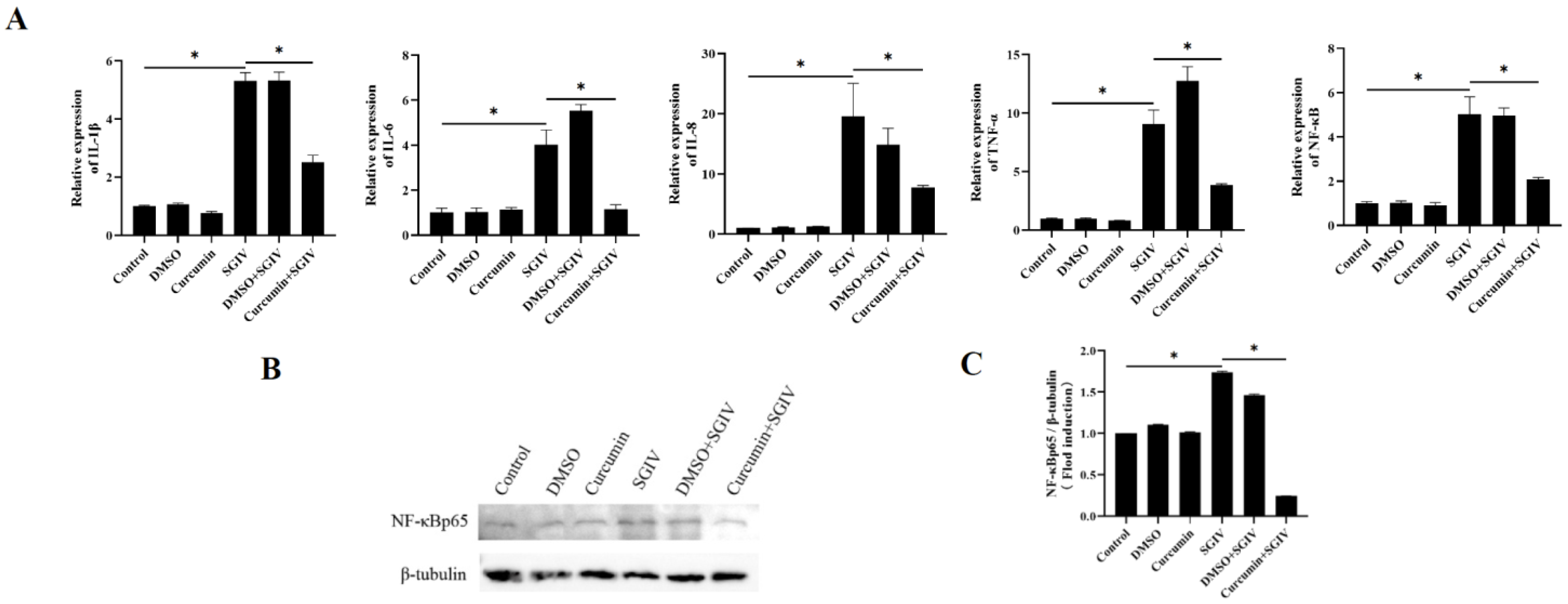 Antioxidants 12 01584 g004
