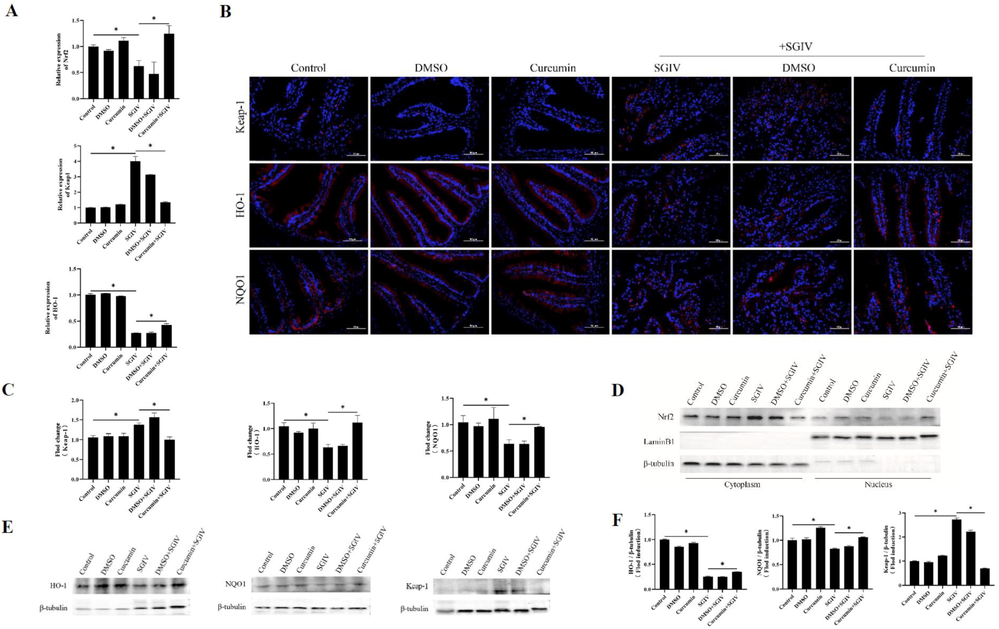 Antioxidants 12 01584 g006