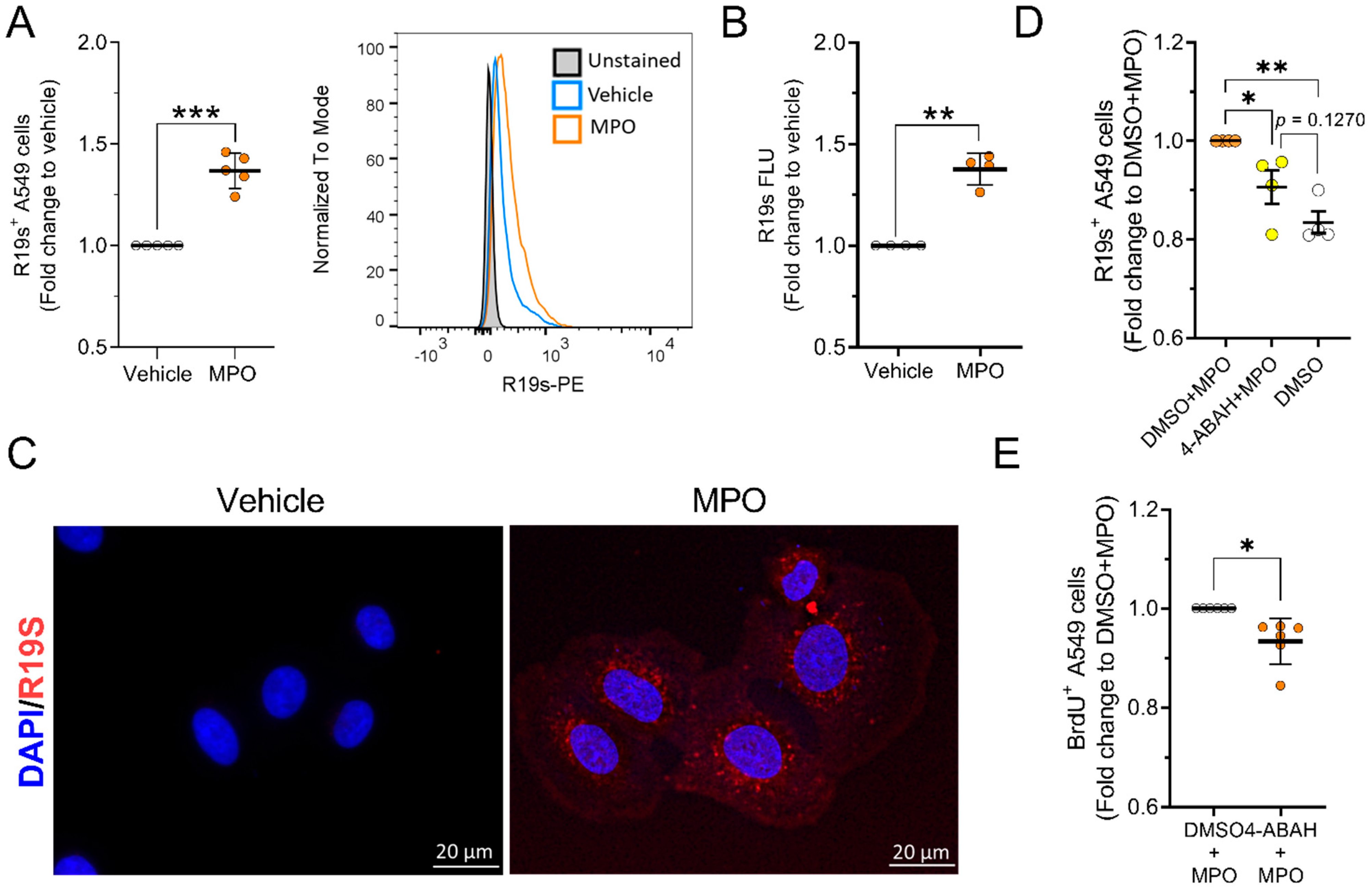 Antioxidants 12 01587 g007