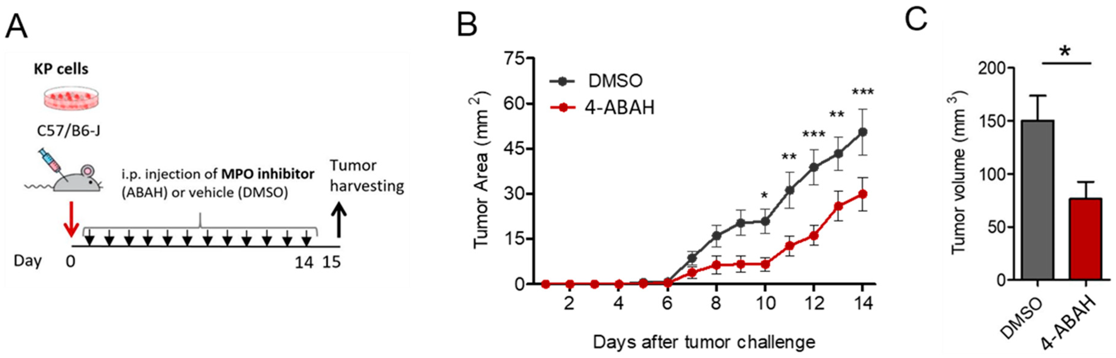 Antioxidants 12 01587 g008